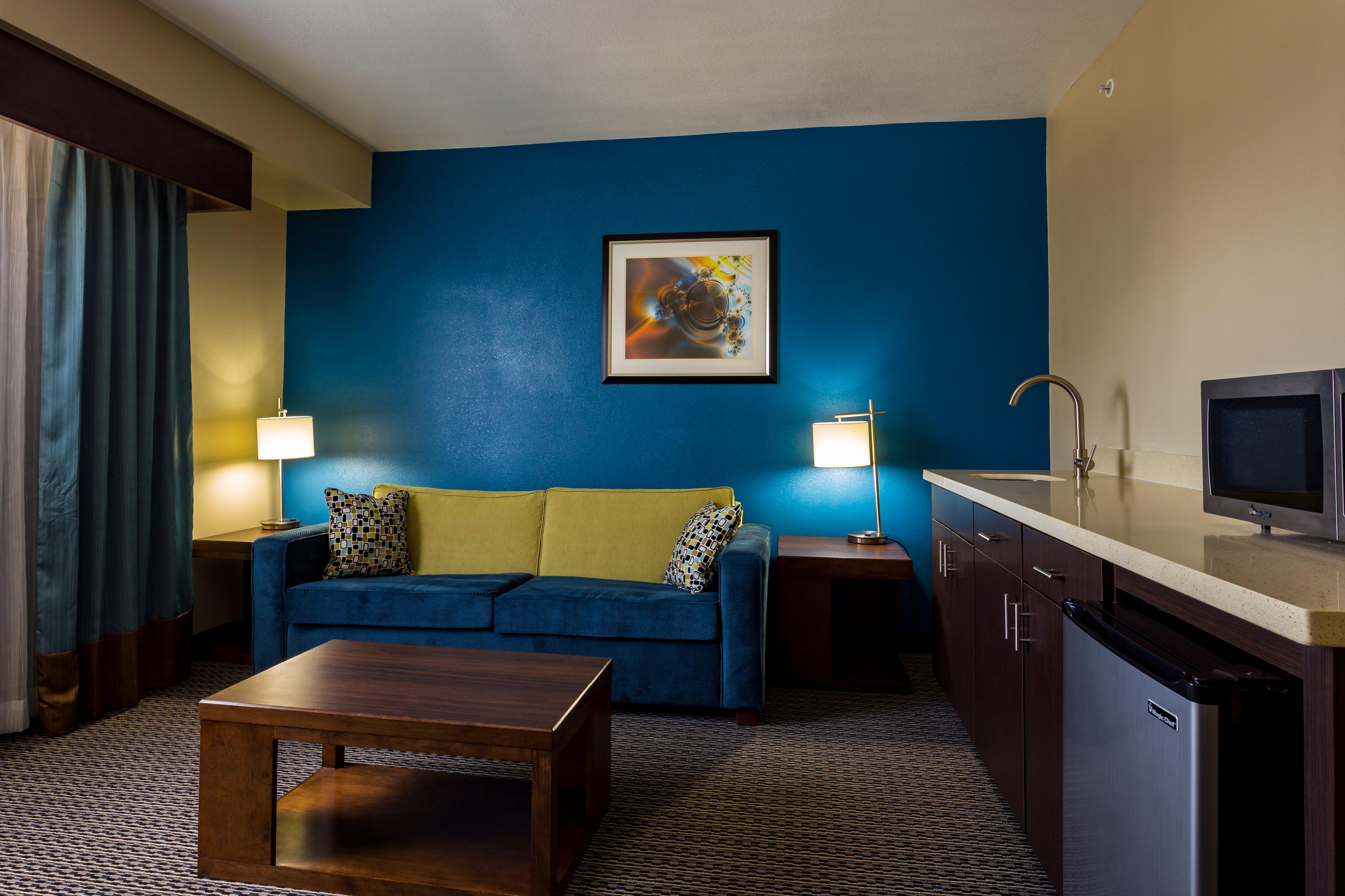 Suite King Bed One Bedroom 