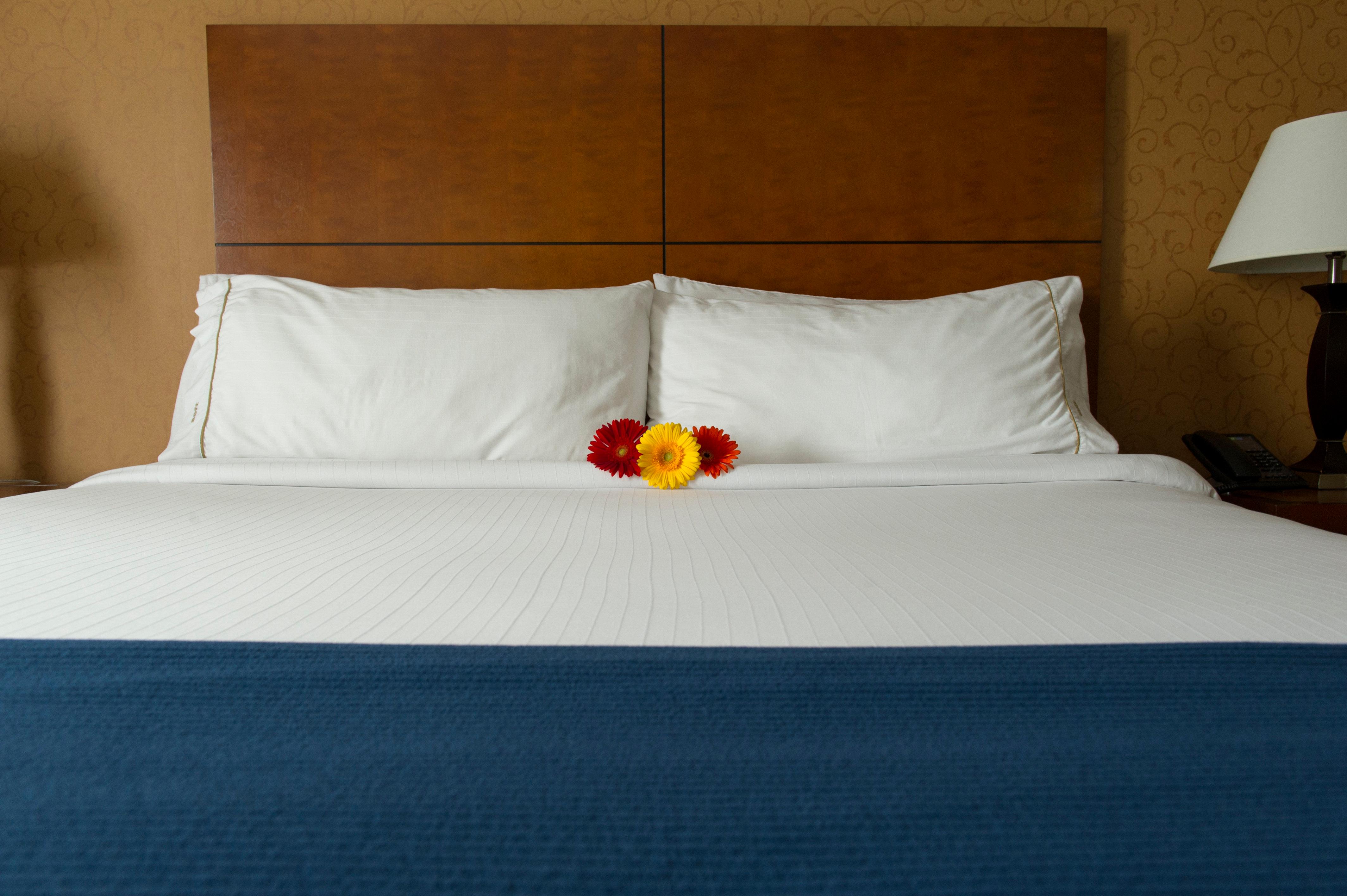 Double King Bed Non Smoking