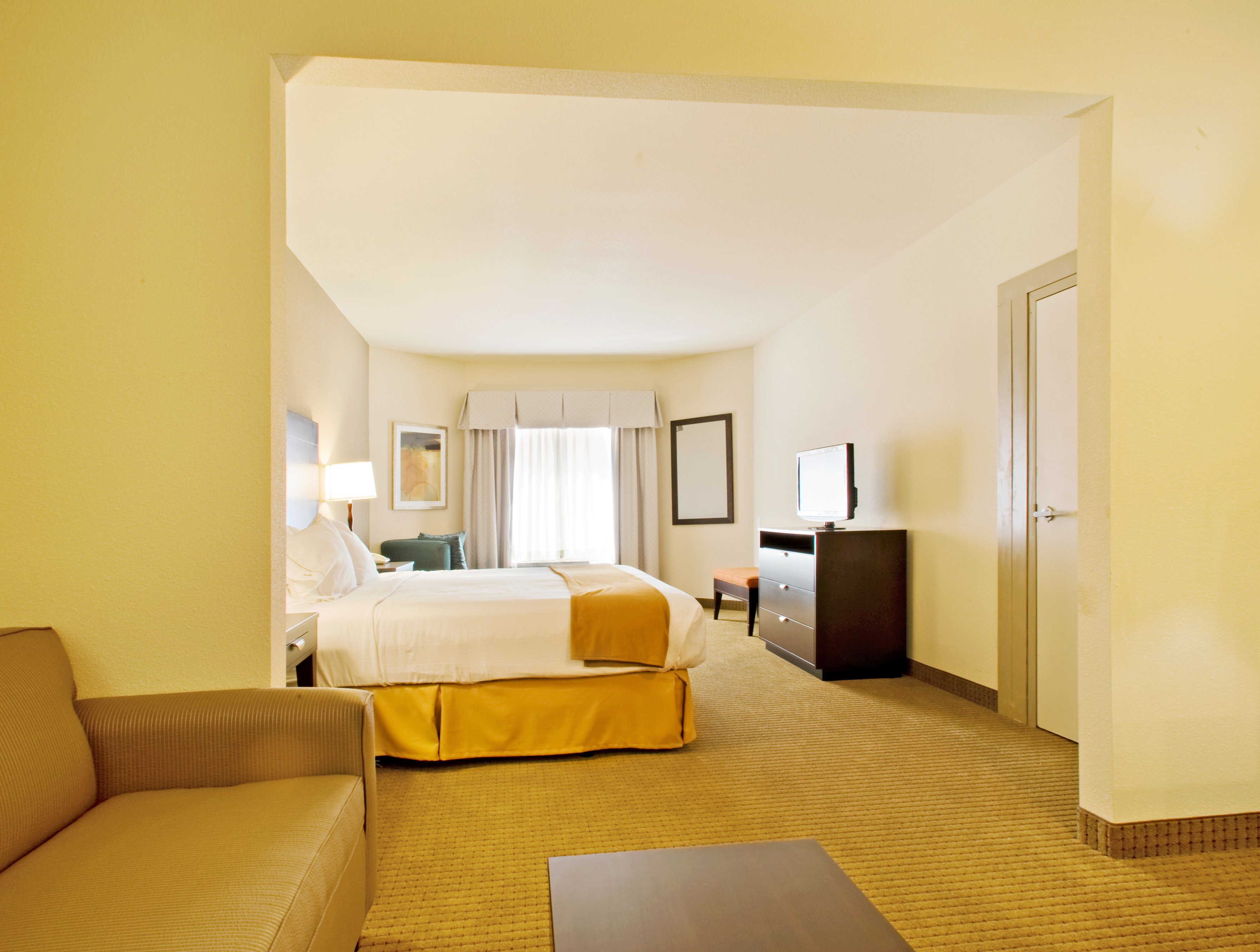 Suite King Bed Non Smoking