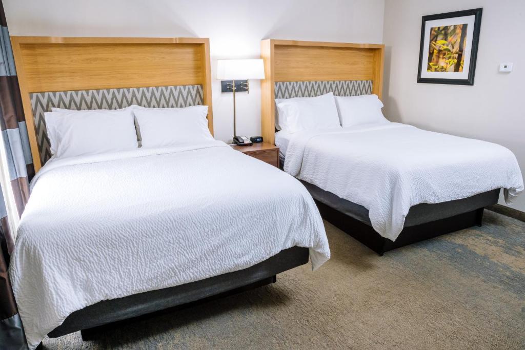 Room Accessible-two Queen Beds
