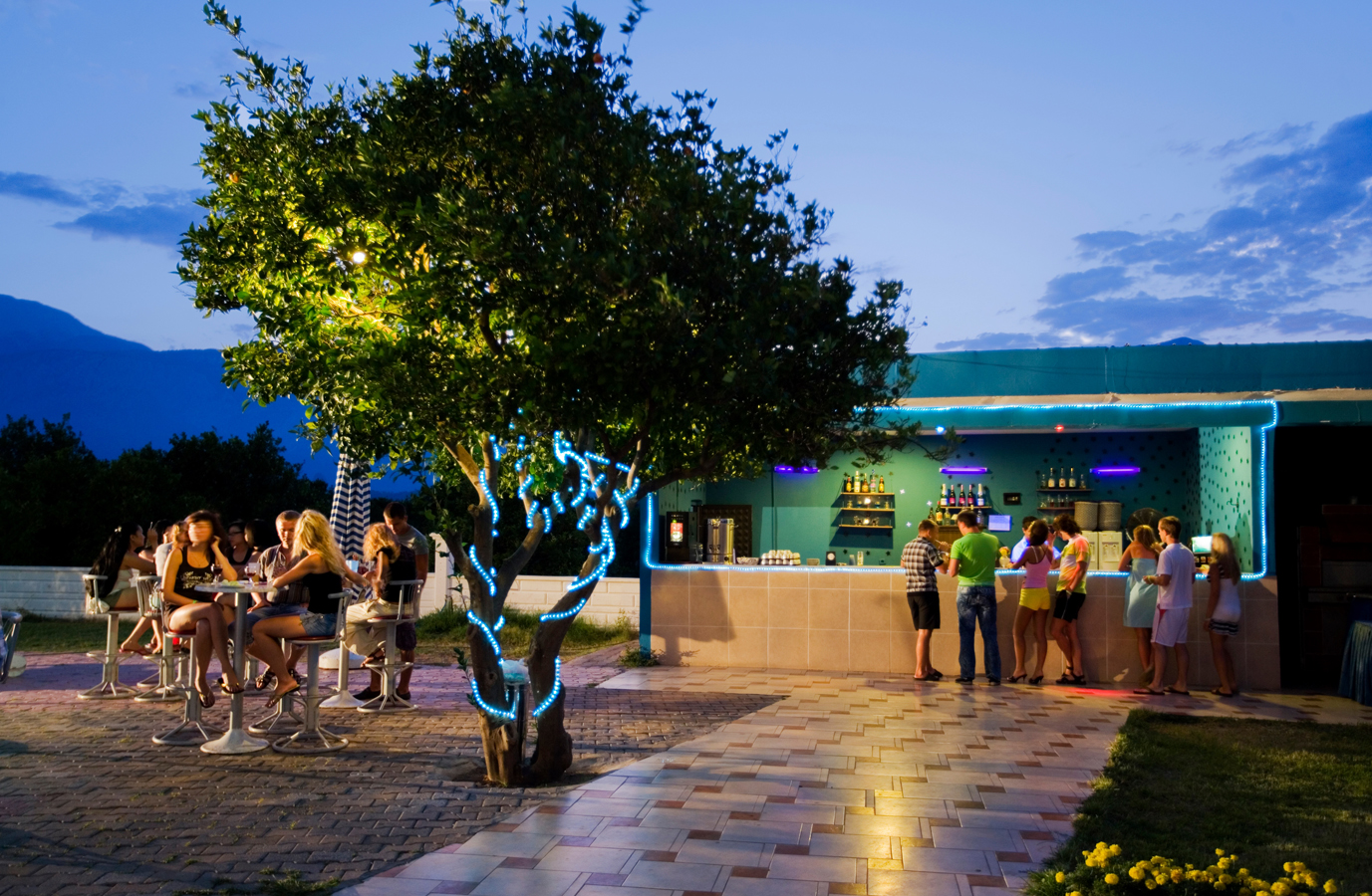 Sports and Entertainment