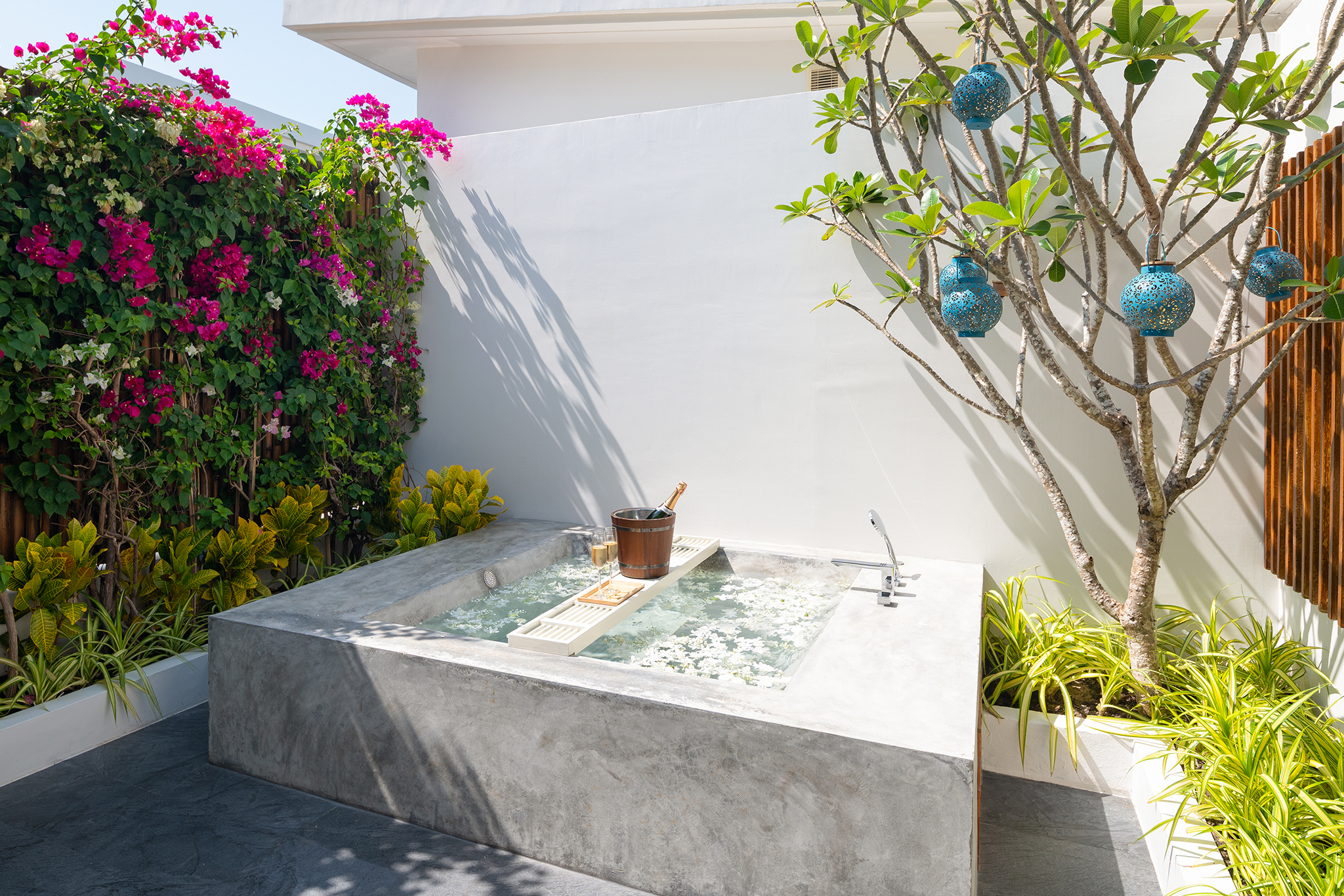 Junior Suite One Bedroom