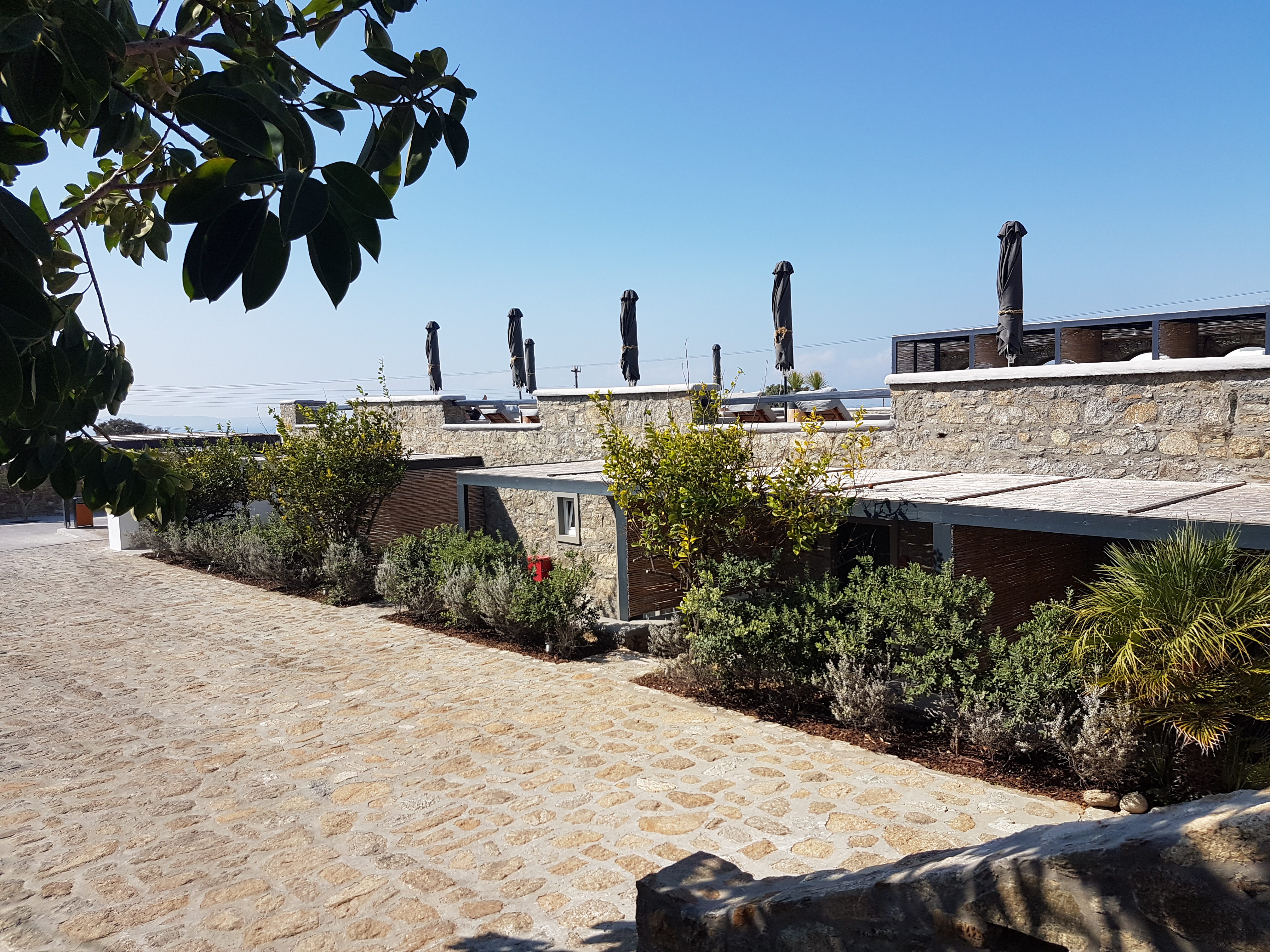 Family Room Capacity 4