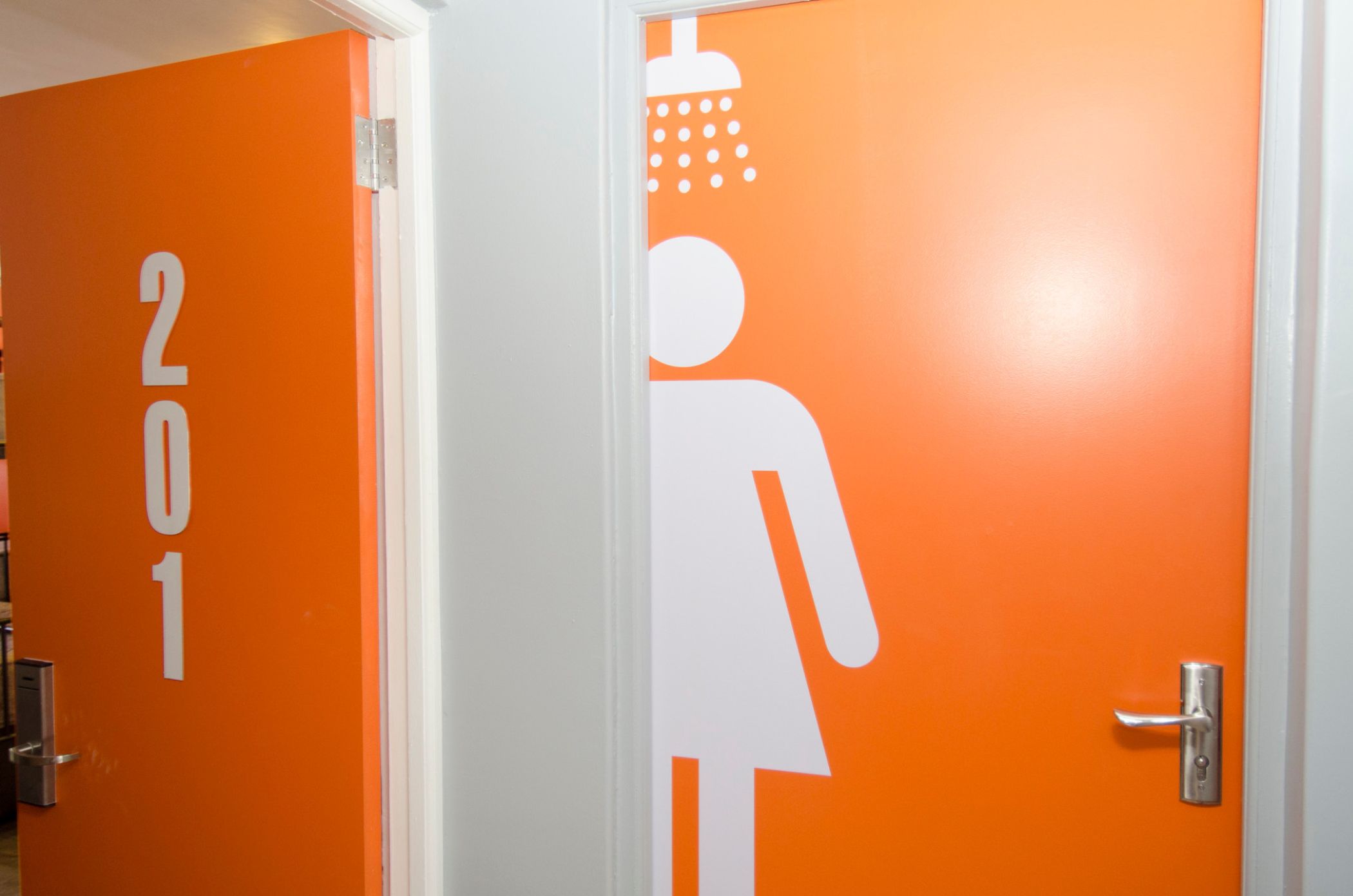 Bed in Dormitory Capacity 10