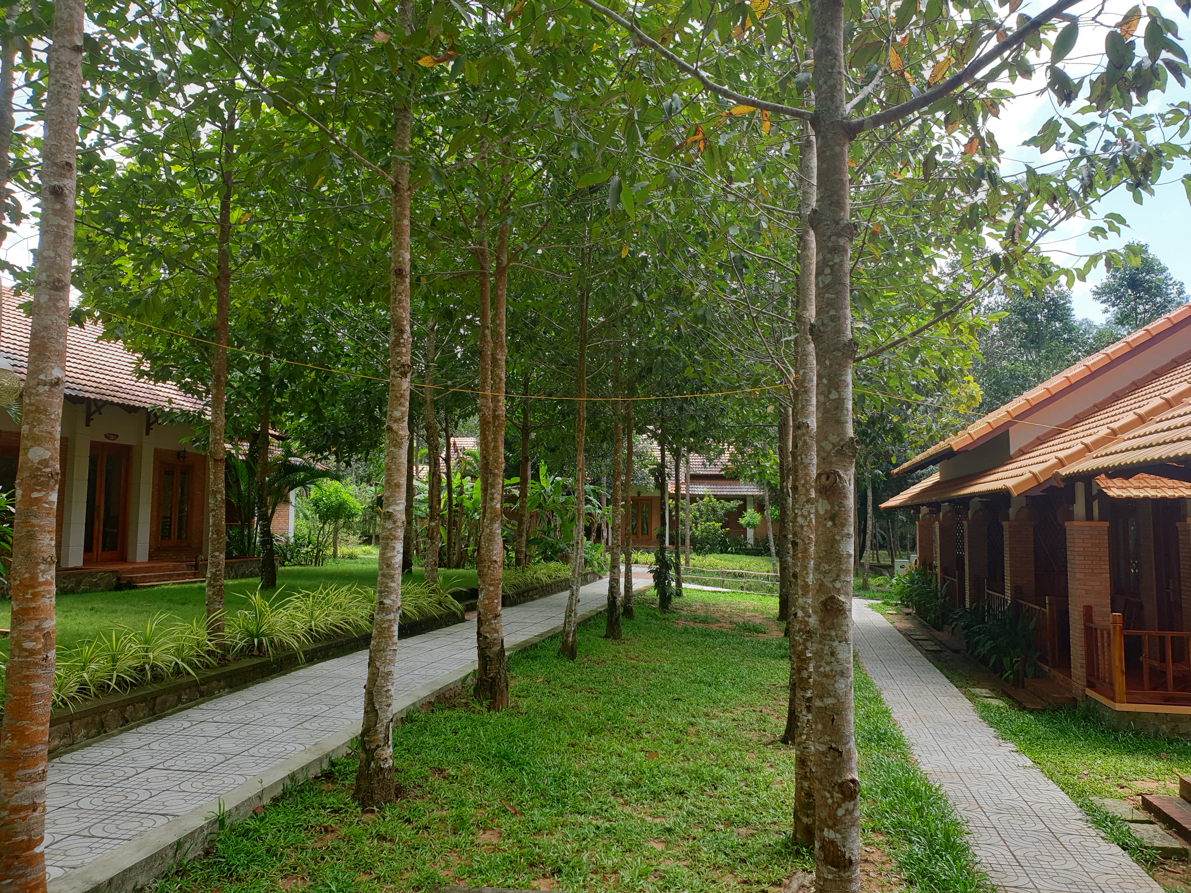 Double Classic Garden View