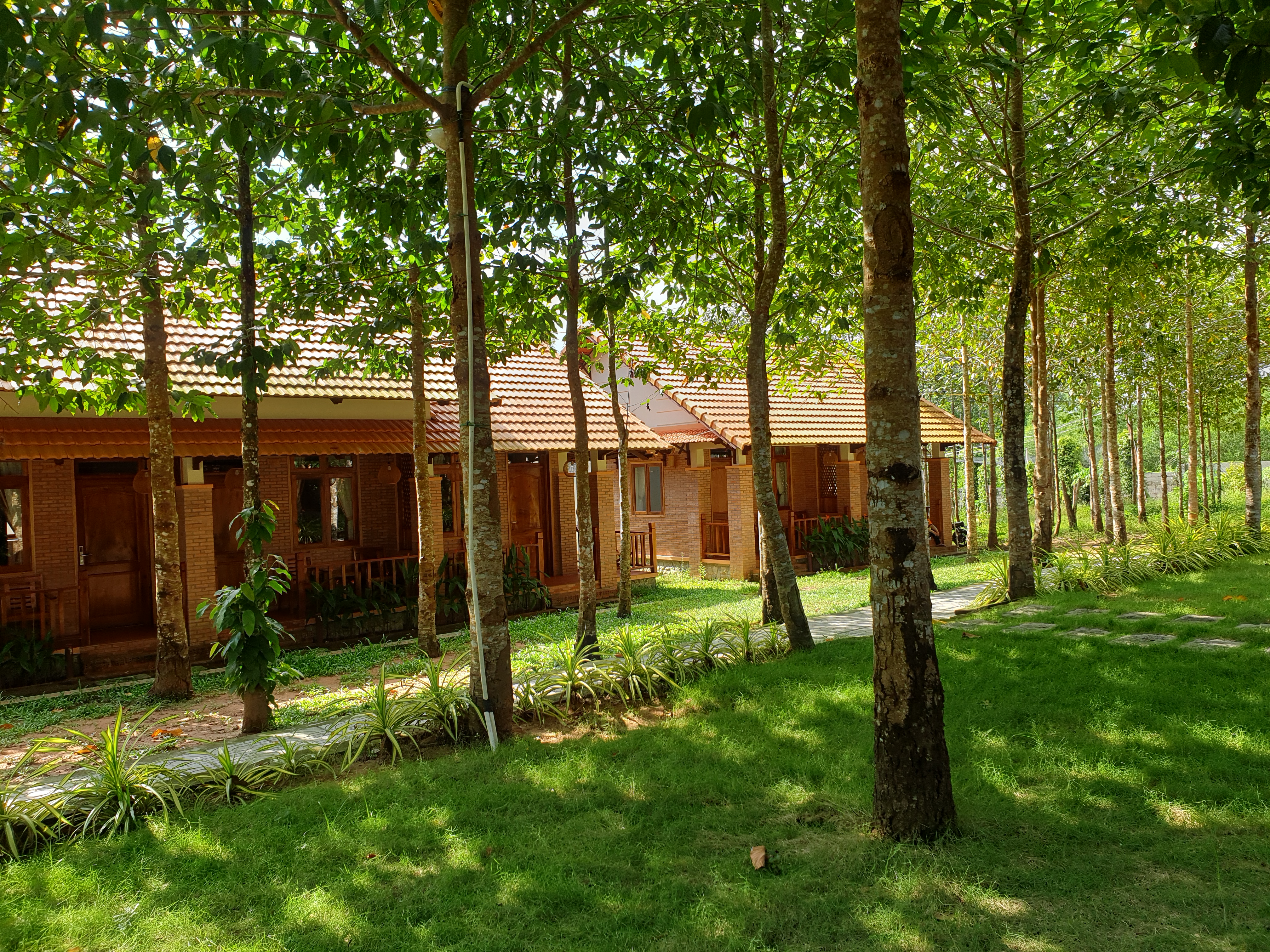 Twin Classic Garden View