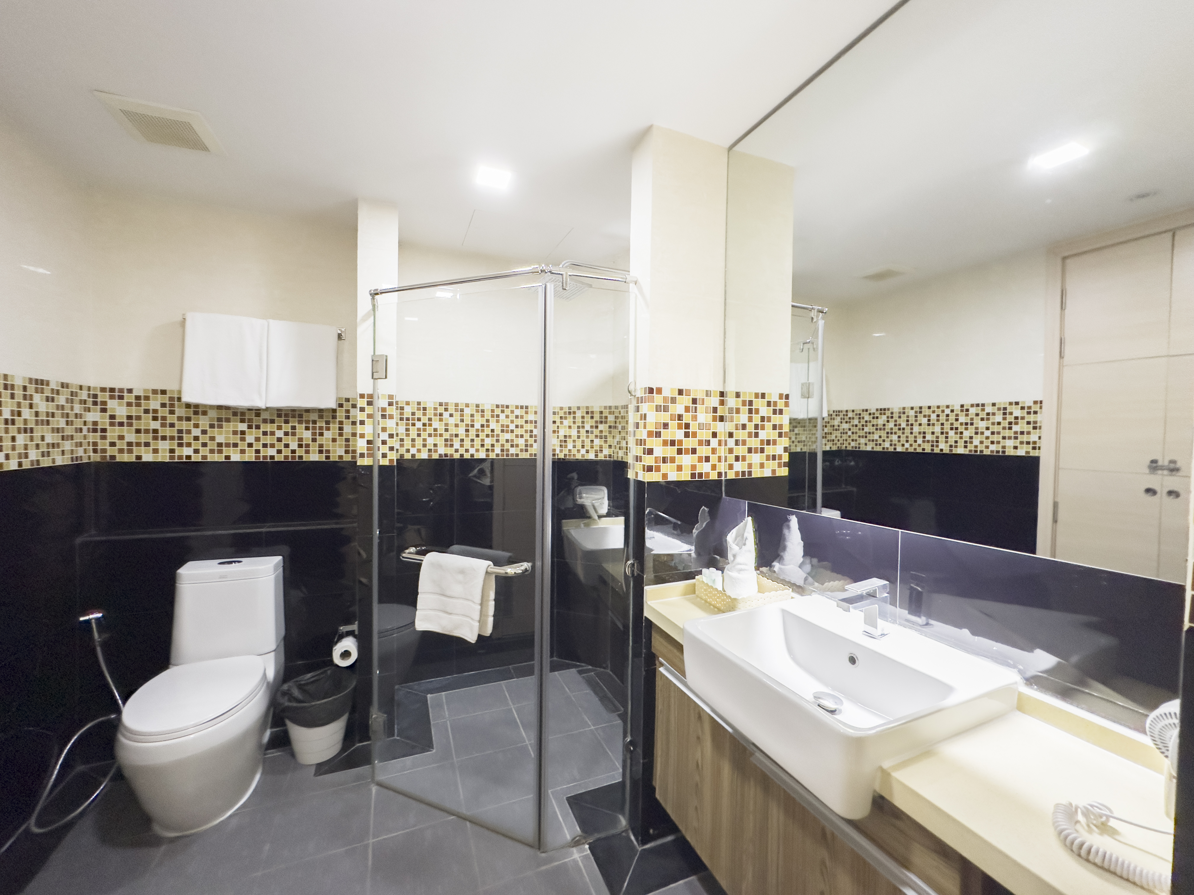 Room Premier One Bedroom