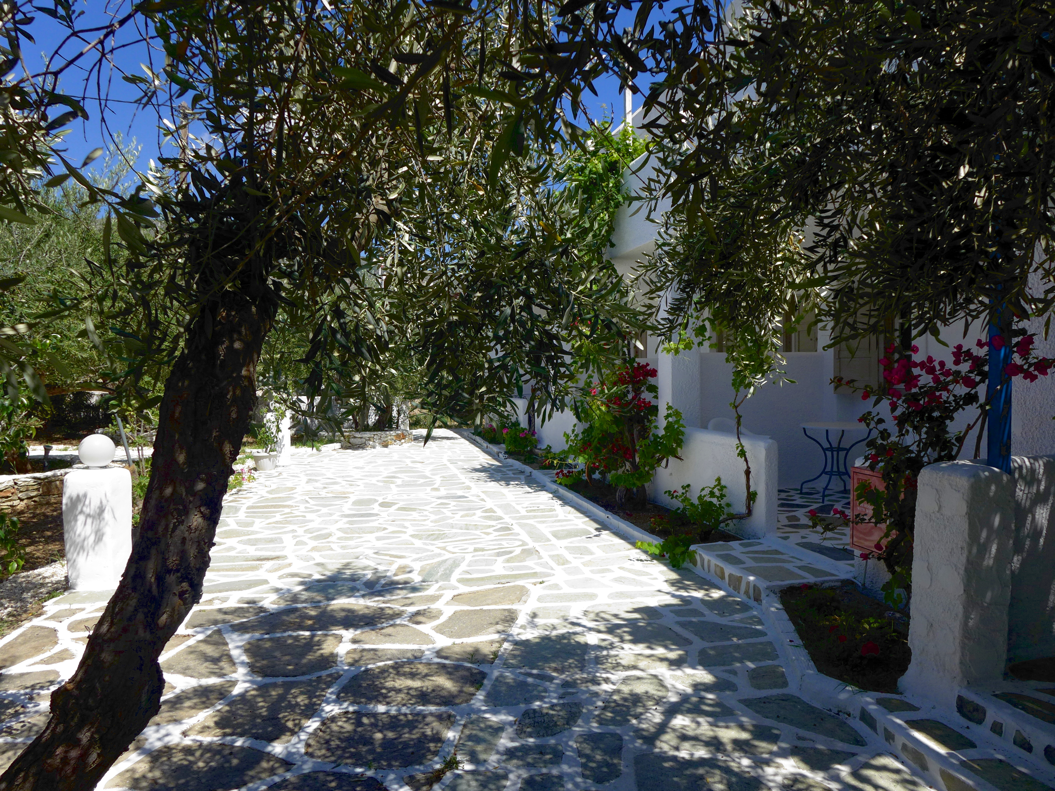 Bungalow Garden View