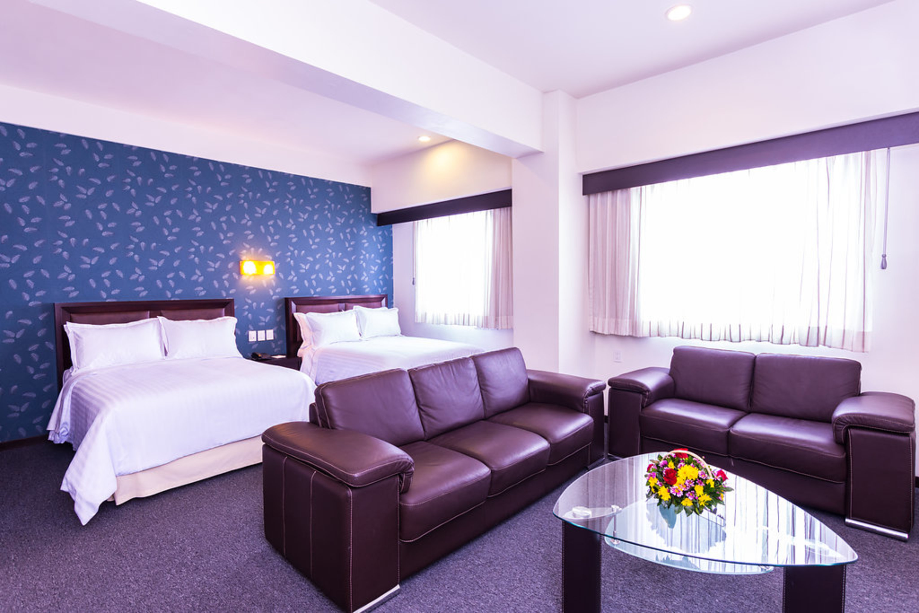 Junior Suite Standard