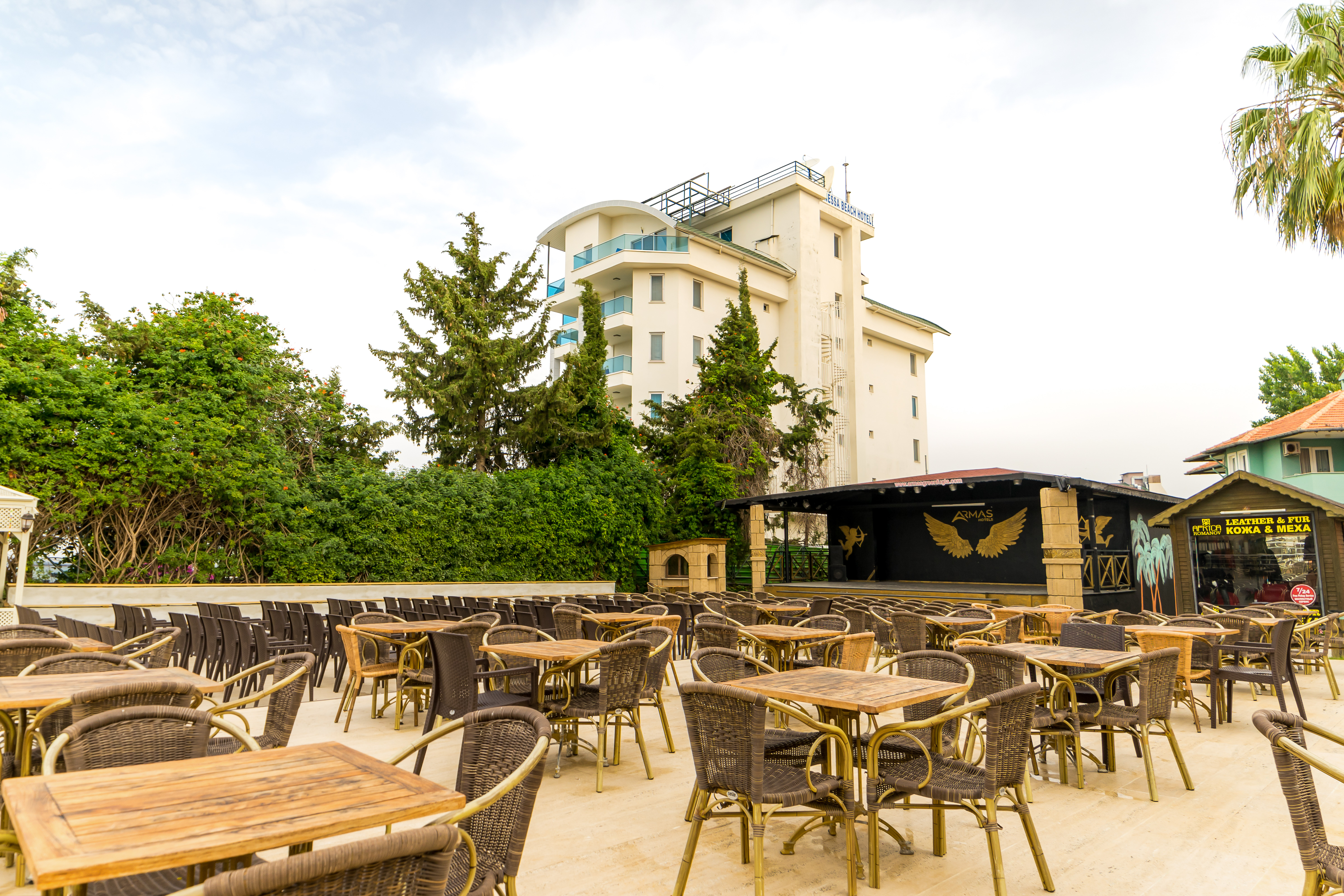 Sports and Entertainment