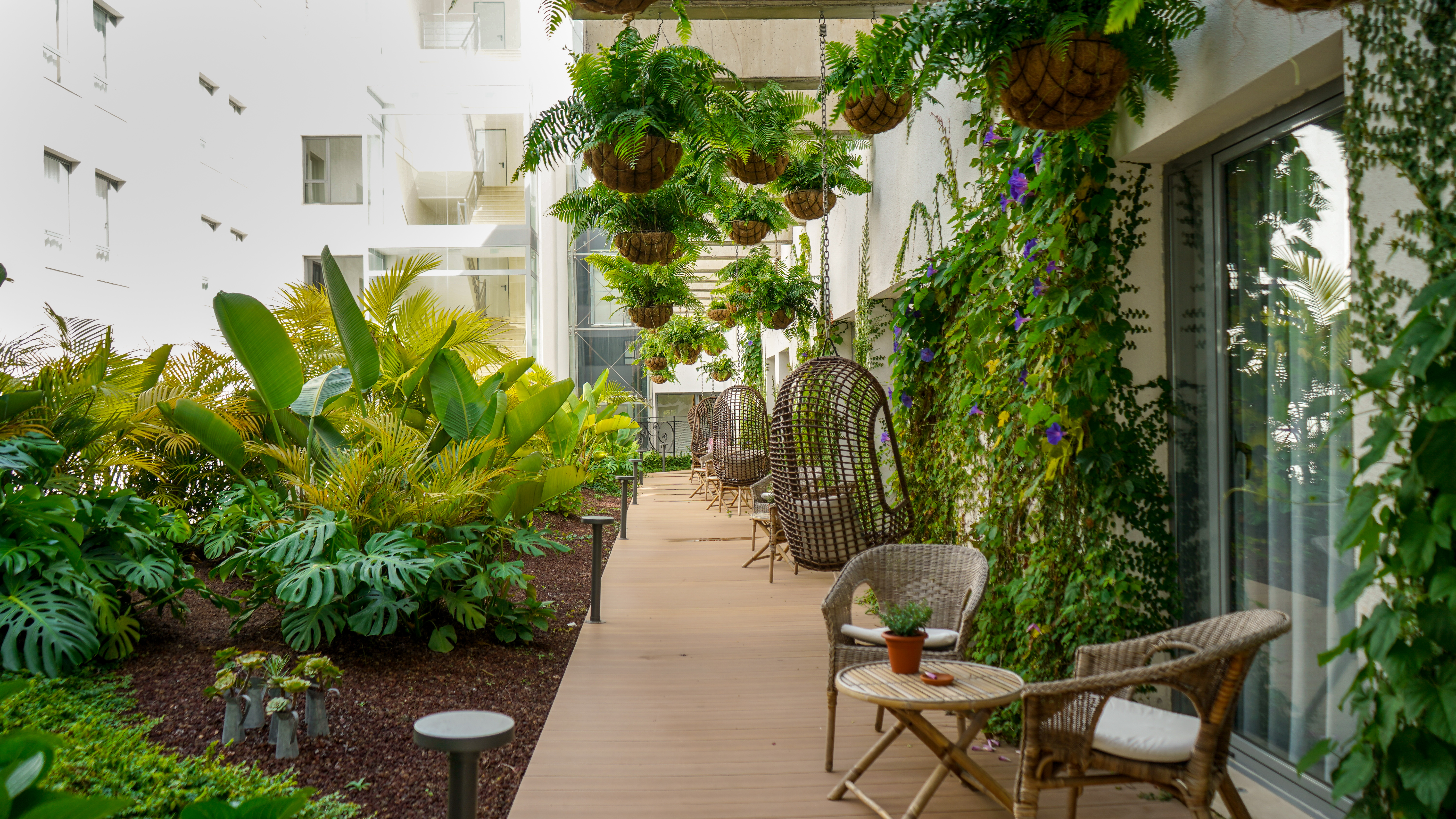 Double Single Deluxe with Terrace