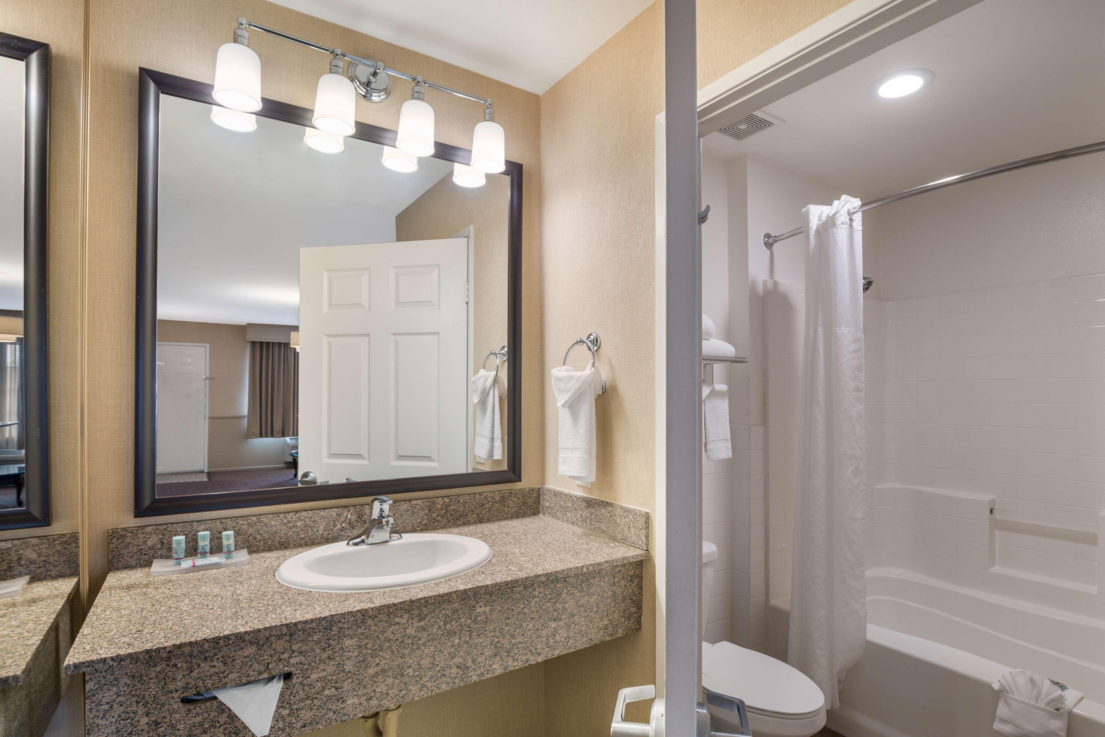 Suite King Bed Non Smoking