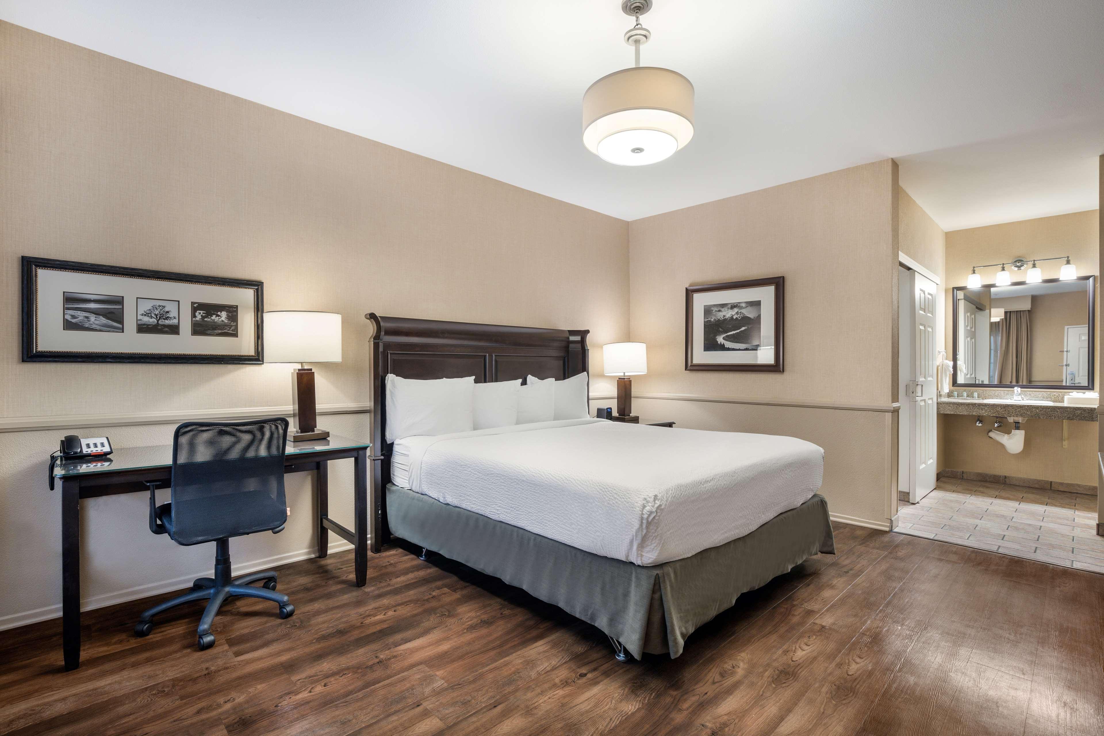 Room Accessible King Size Bed