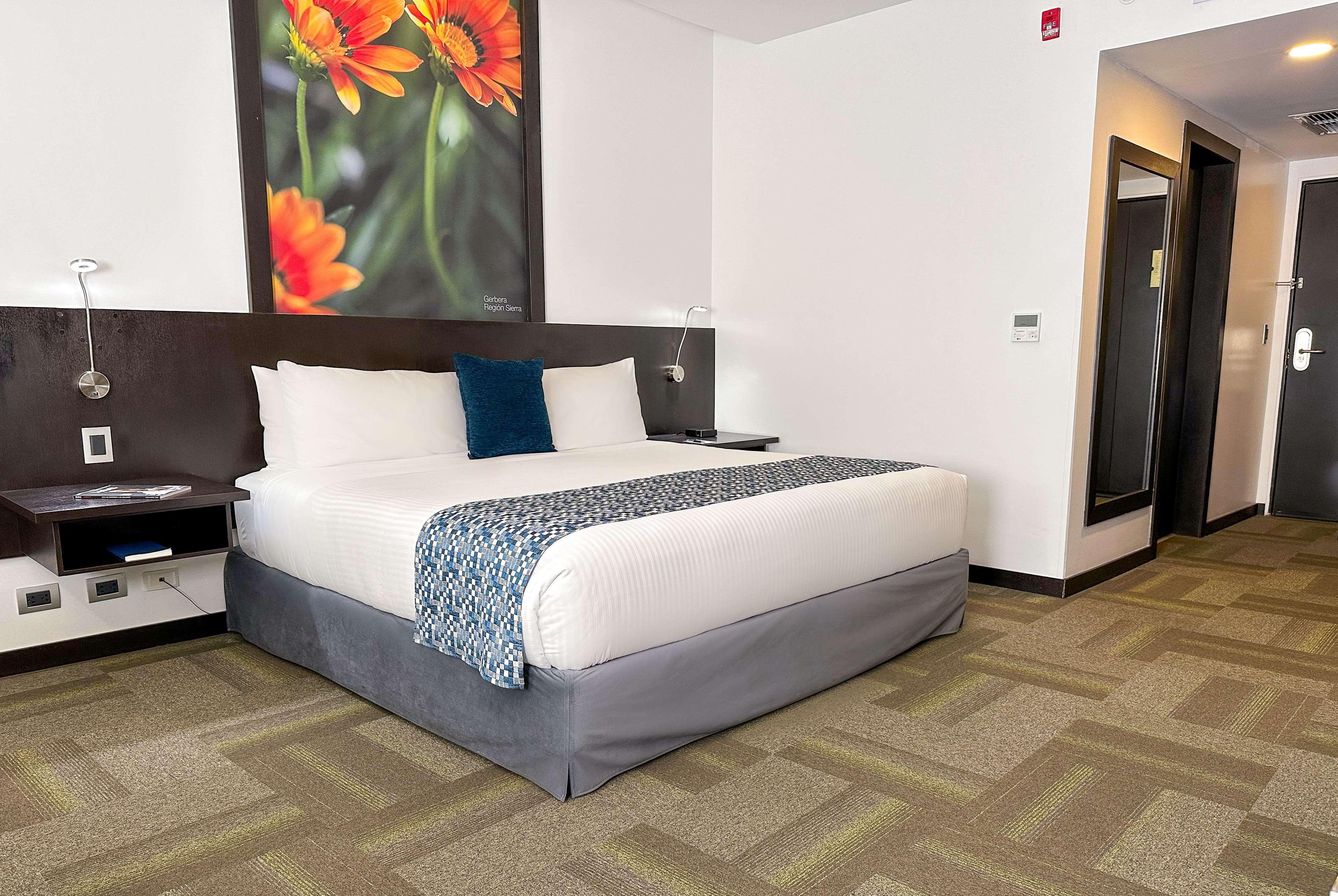 Double King Size Bed