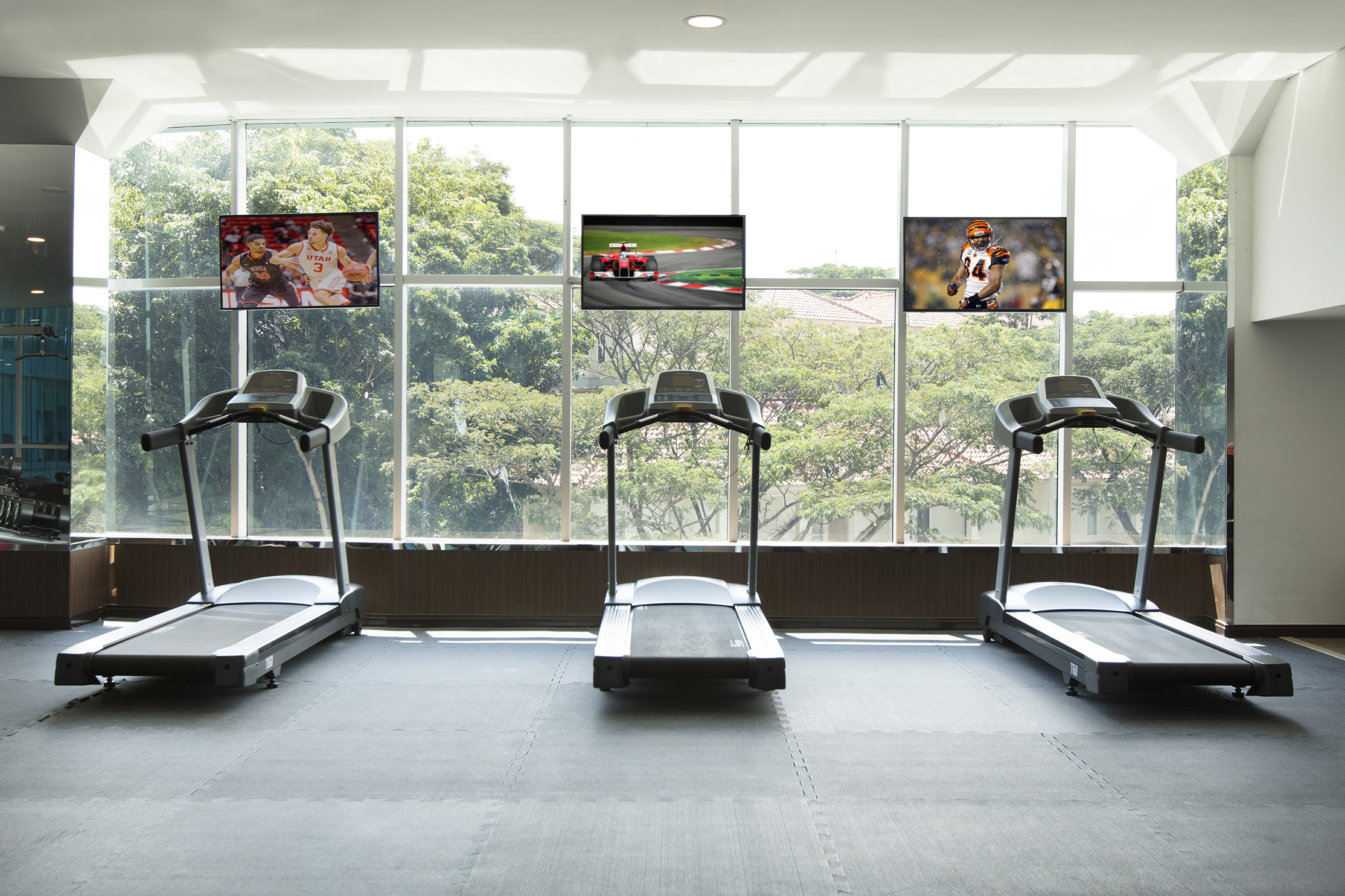 Sports and Entertainment