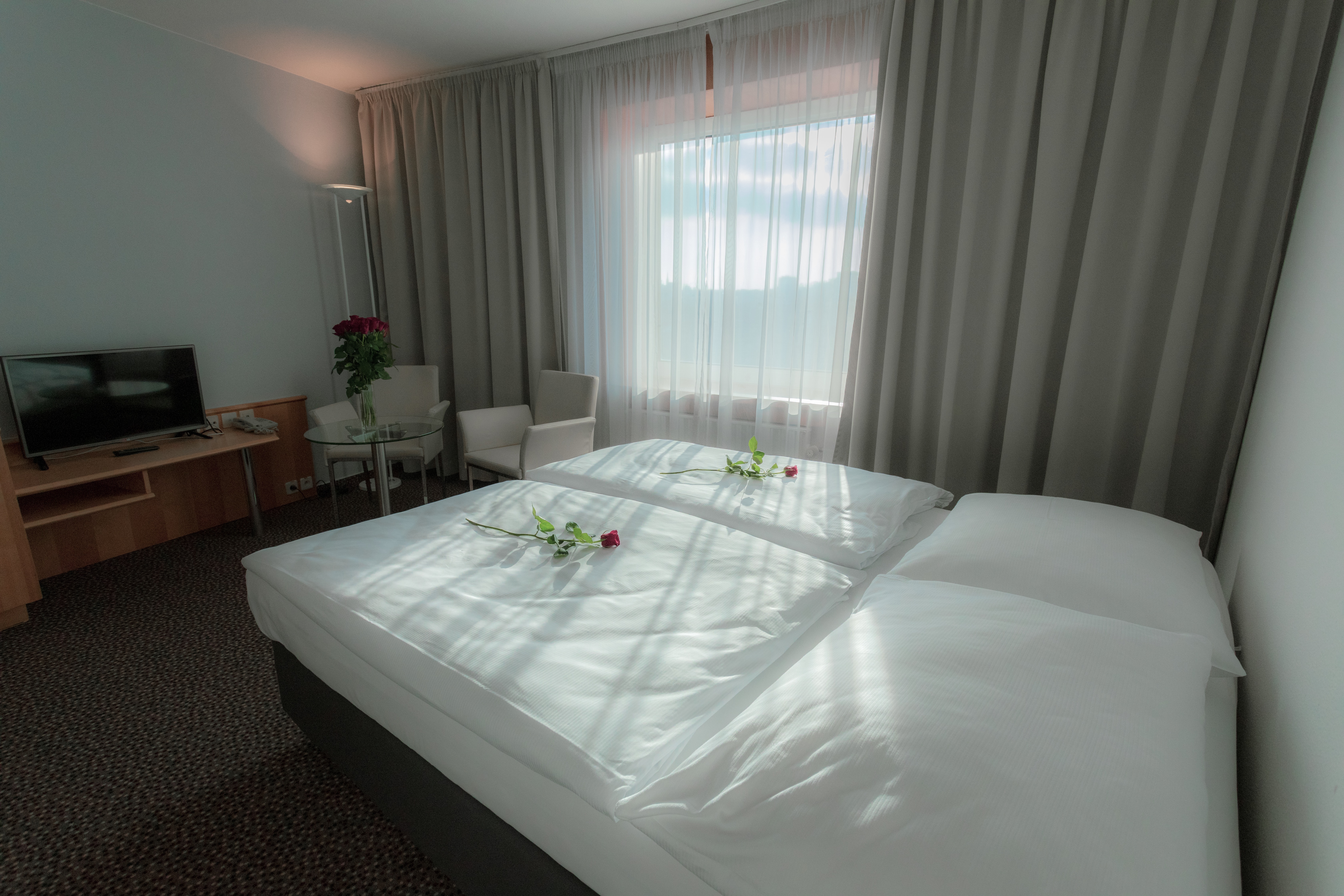 Family Room Standard