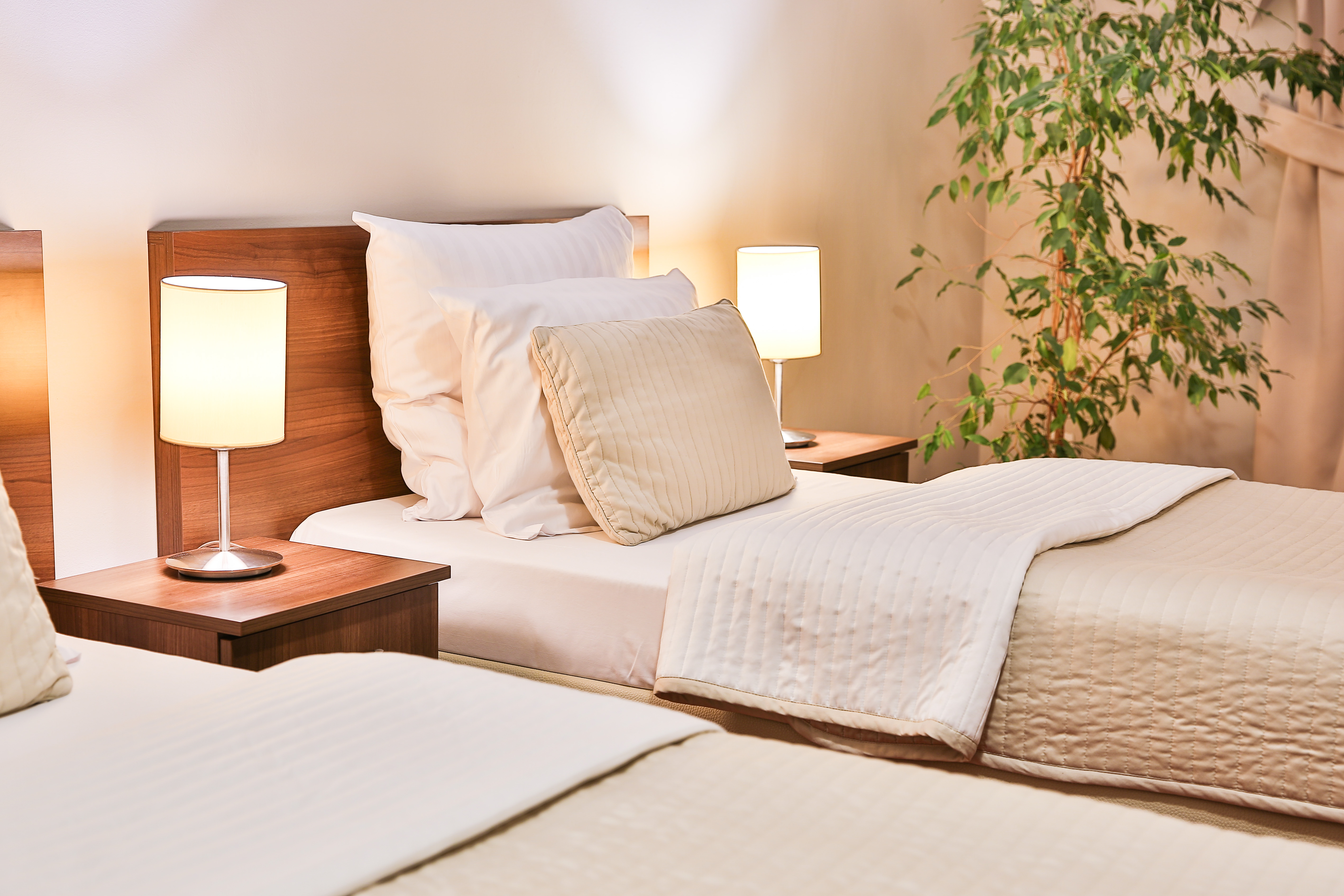 Double or Twin Comfort