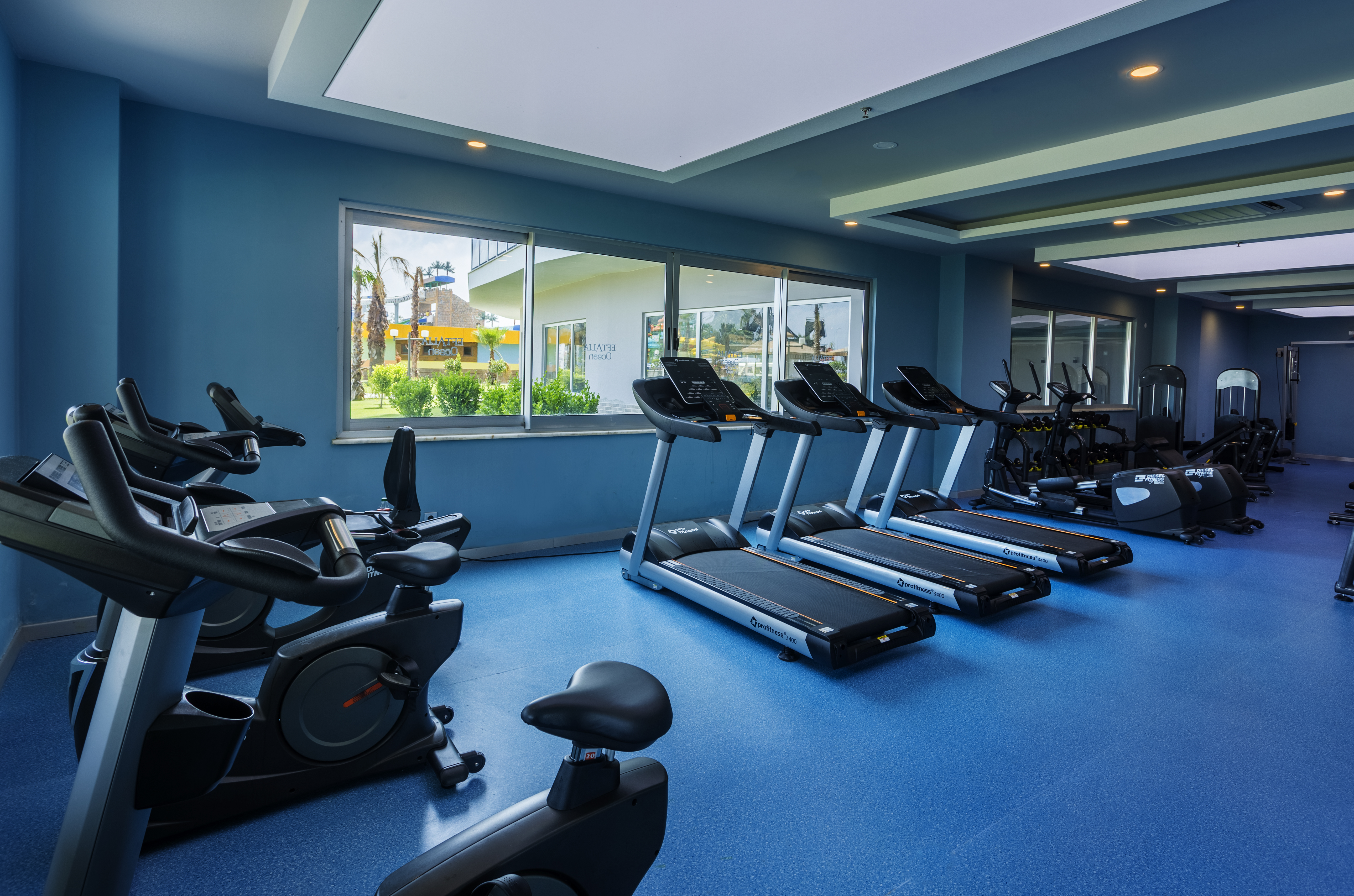 Sports and Entertainment