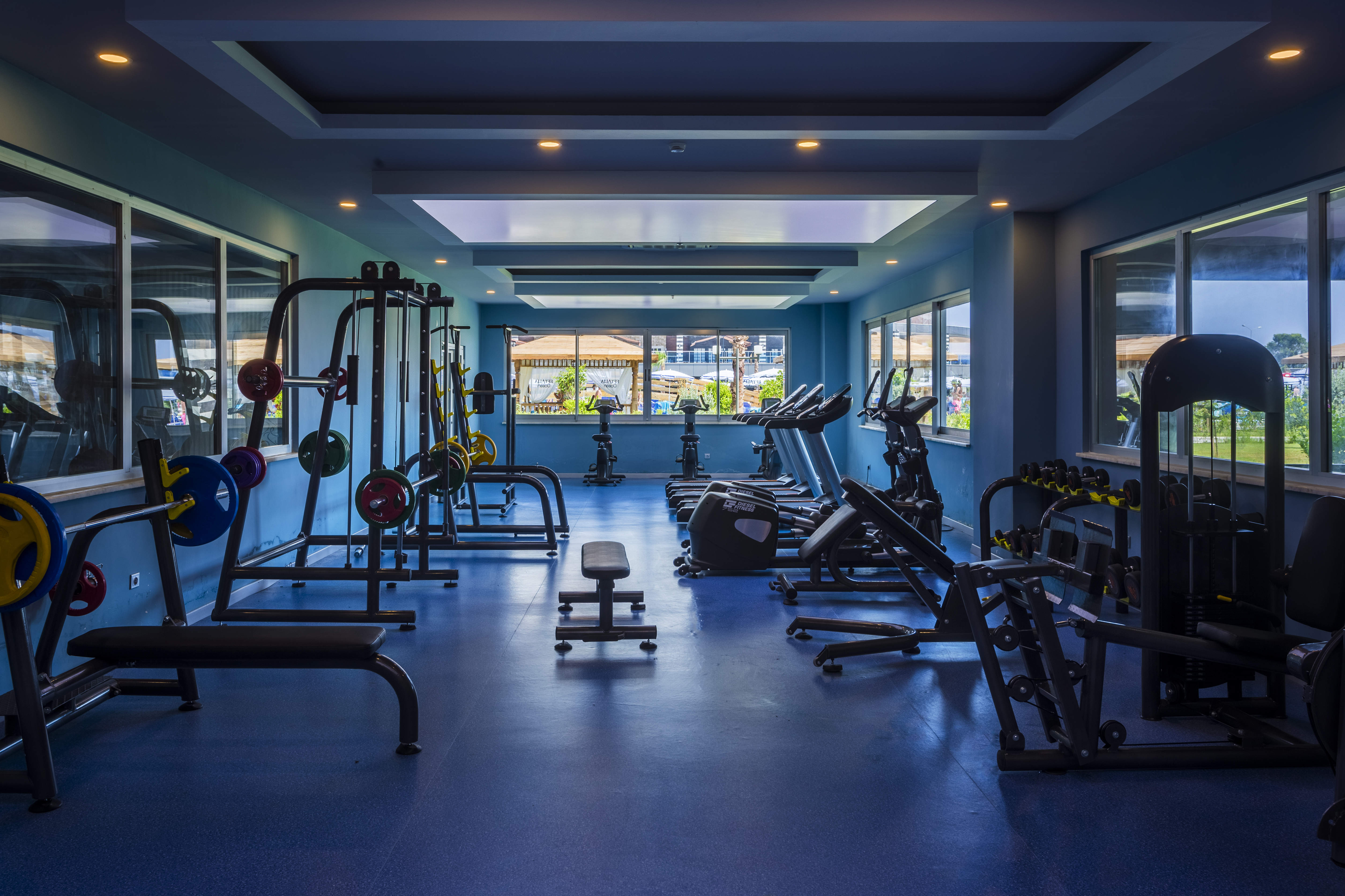 Sports and Entertainment