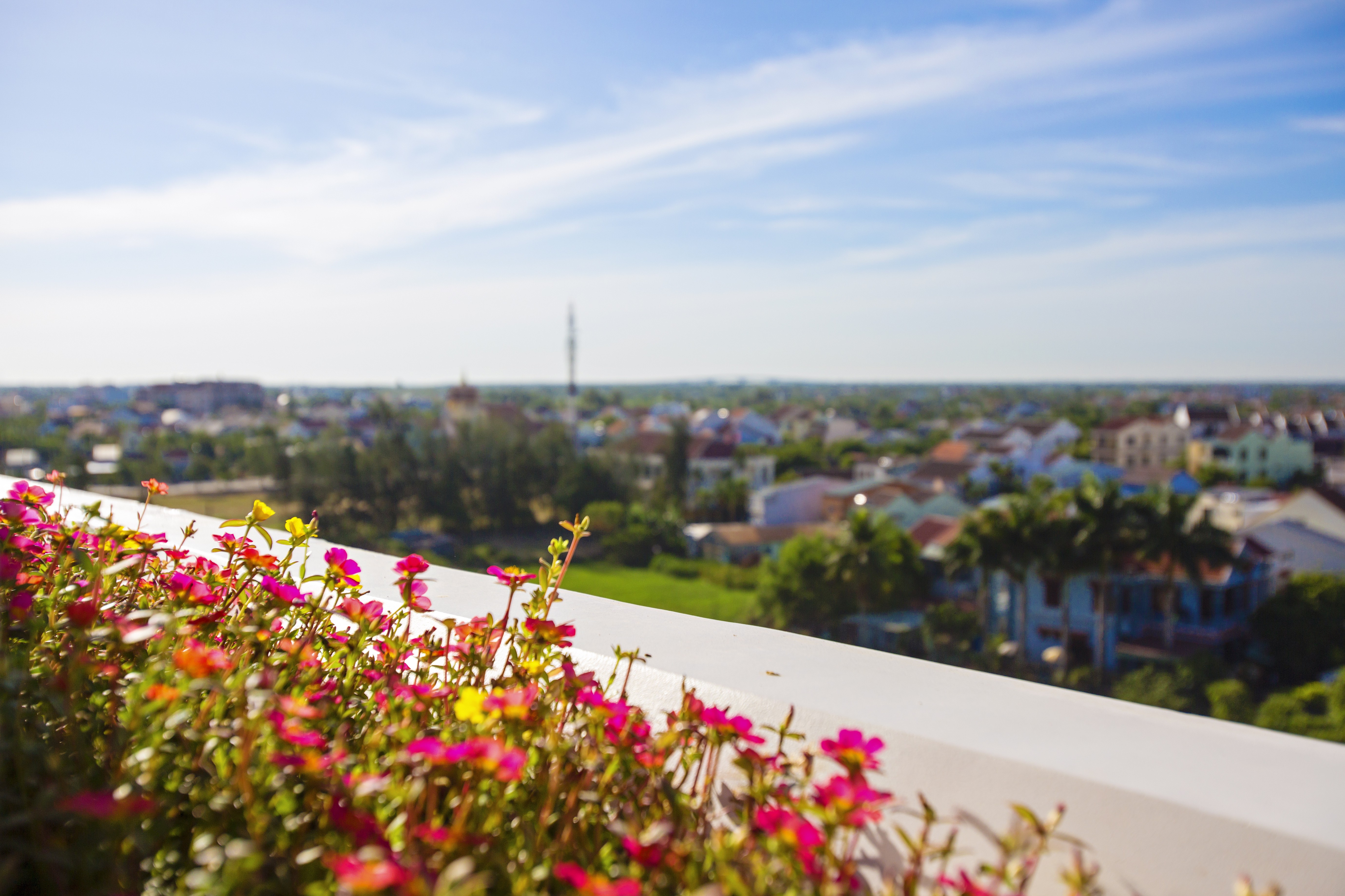 Junior Suite King Size Bed