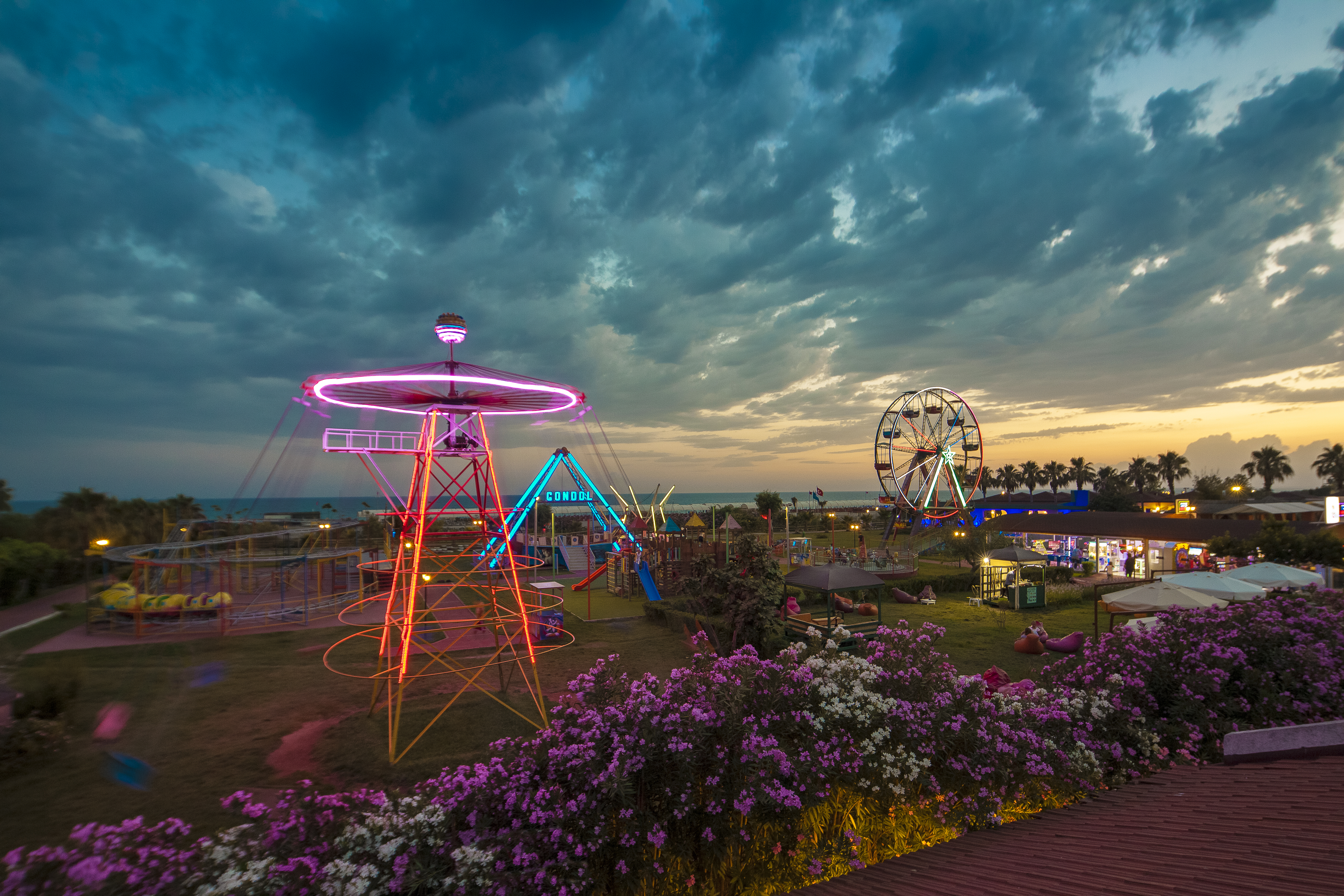 Sports and Entertainment