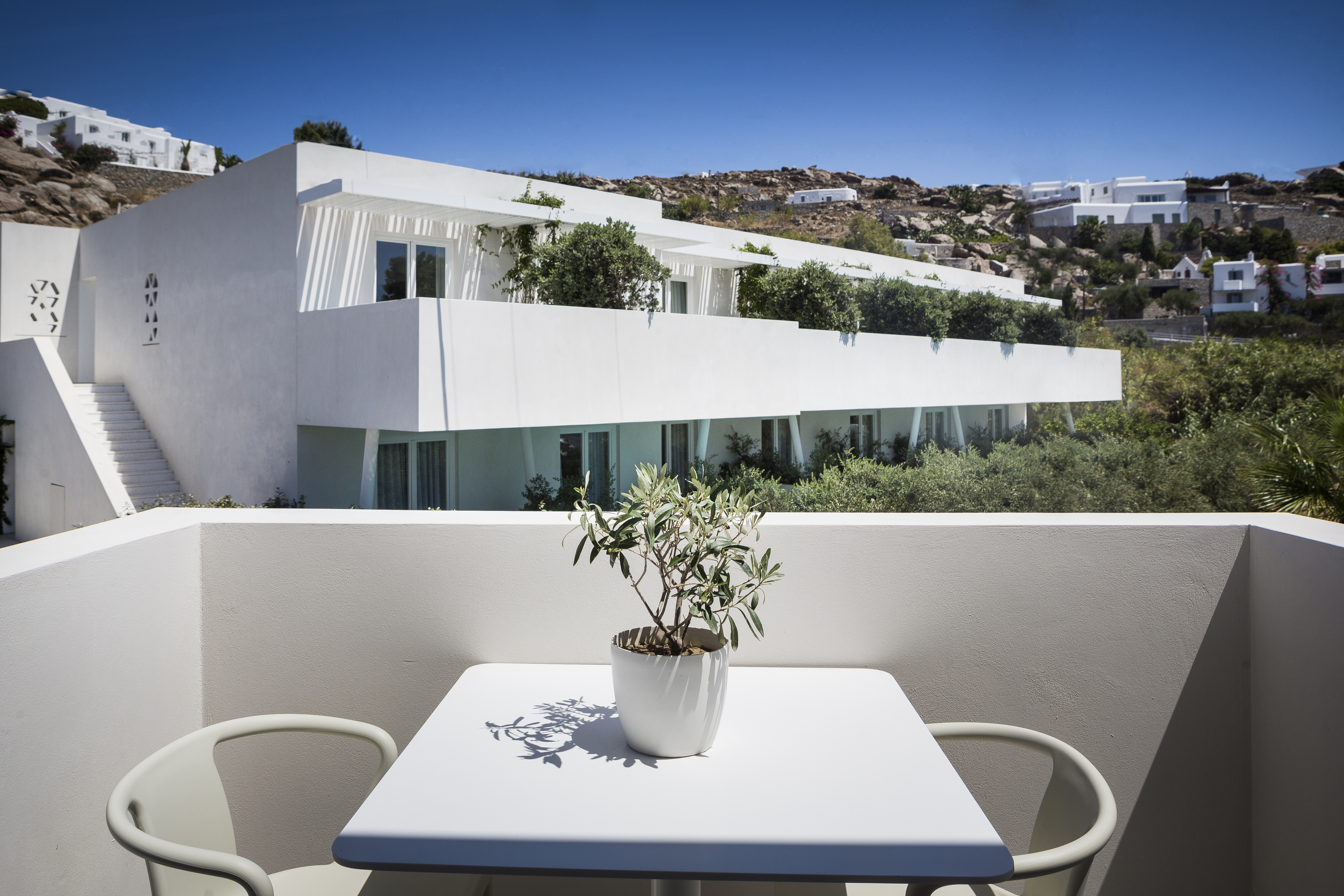 Double or Twin Mountain View