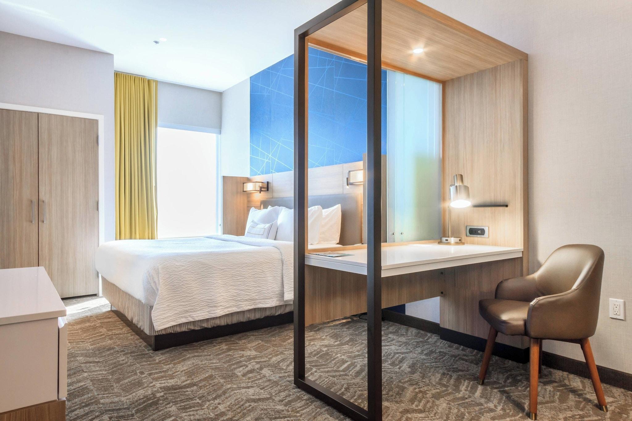 Suite King Bed Non Smoking