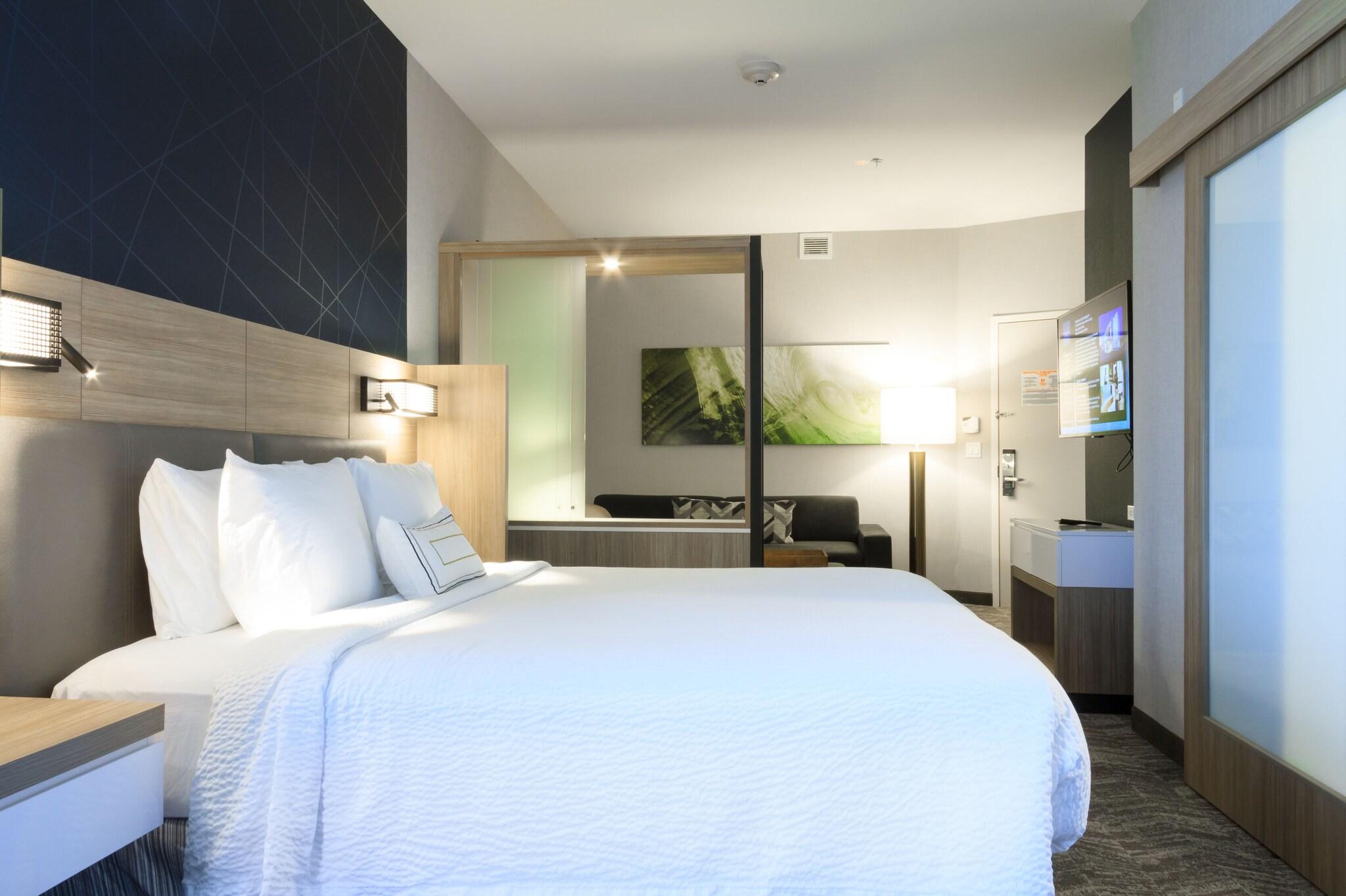 Suite King Bed Non Smoking