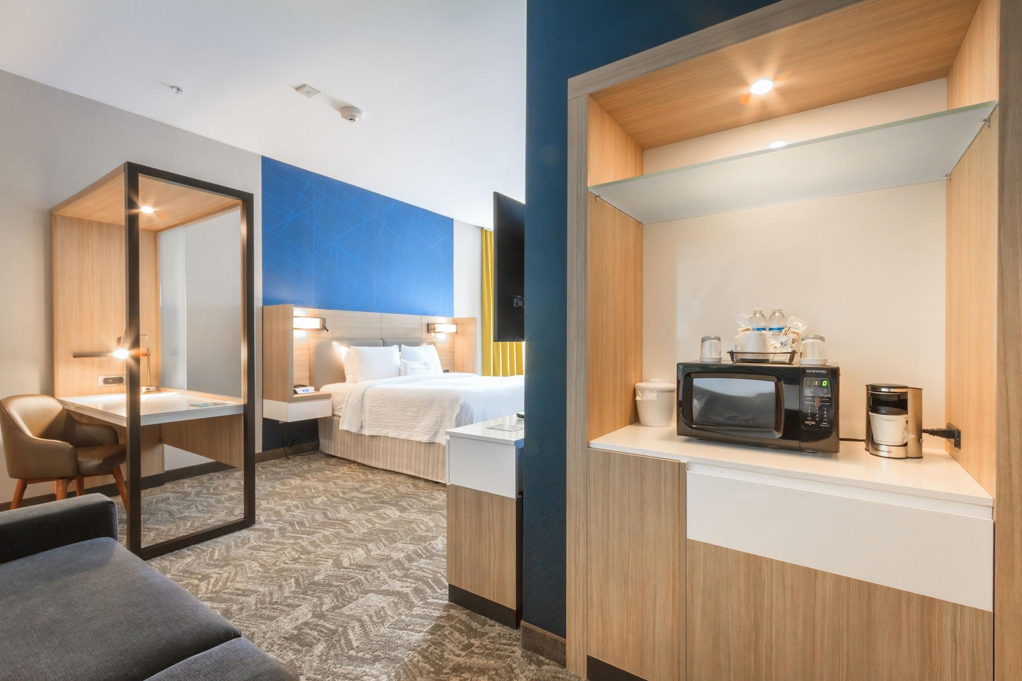 Suite King Bed Non Smoking