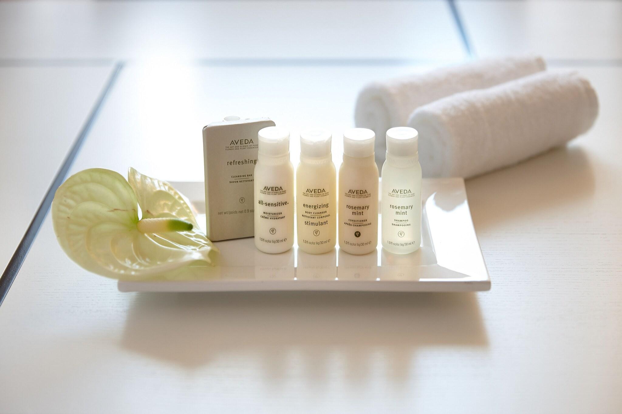 Family Room Two Beds