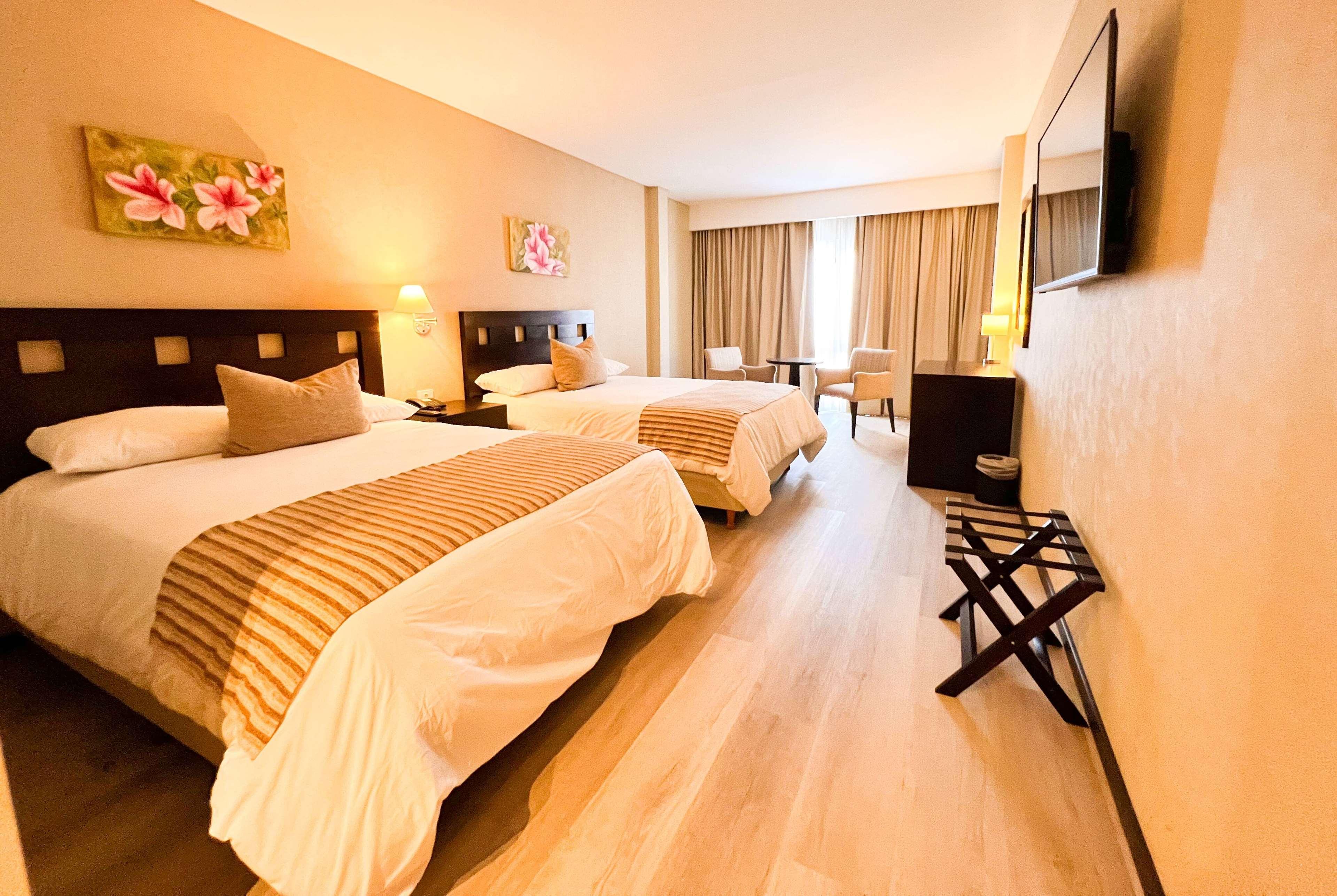 Quadruple Two Queen Beds Non Smoking