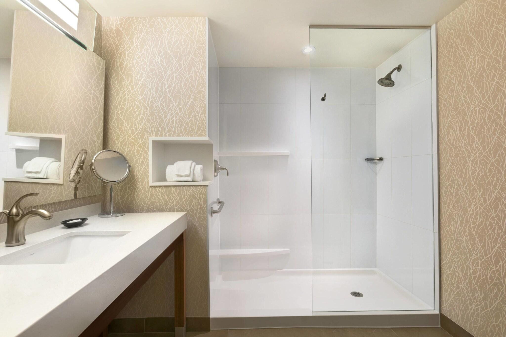 Suite King Bed One Bedroom 