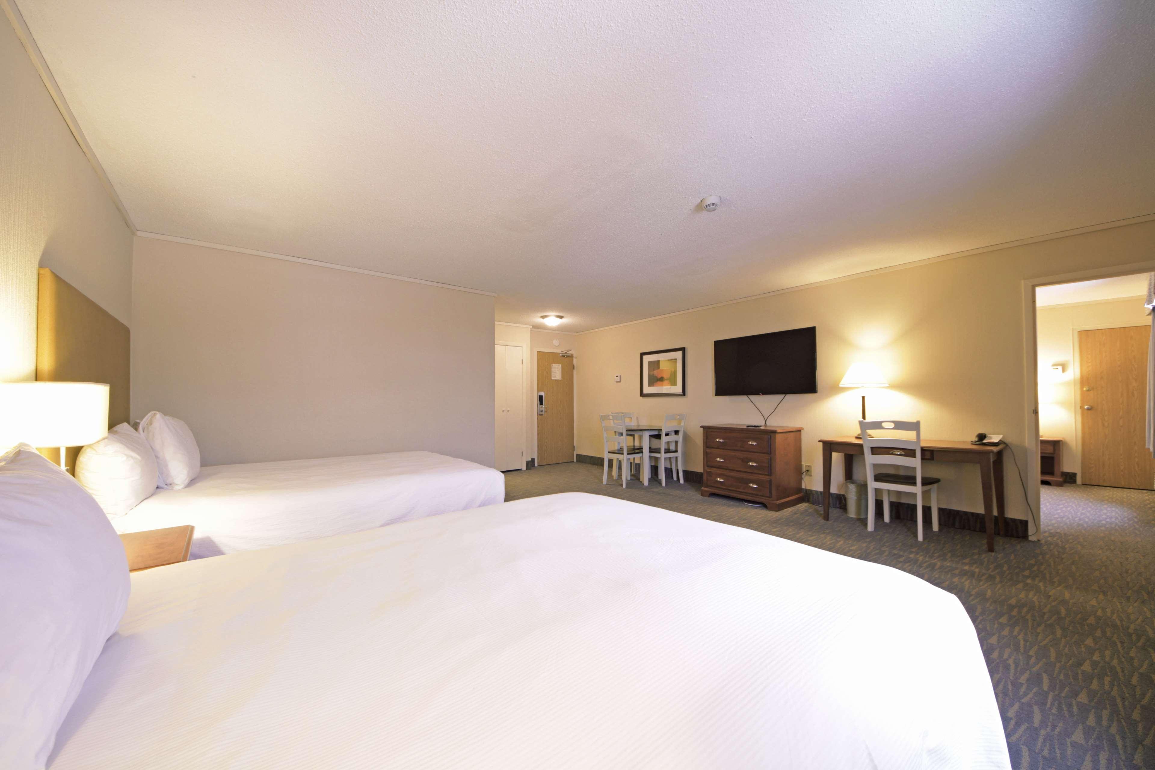 Suite Queen Size Bed