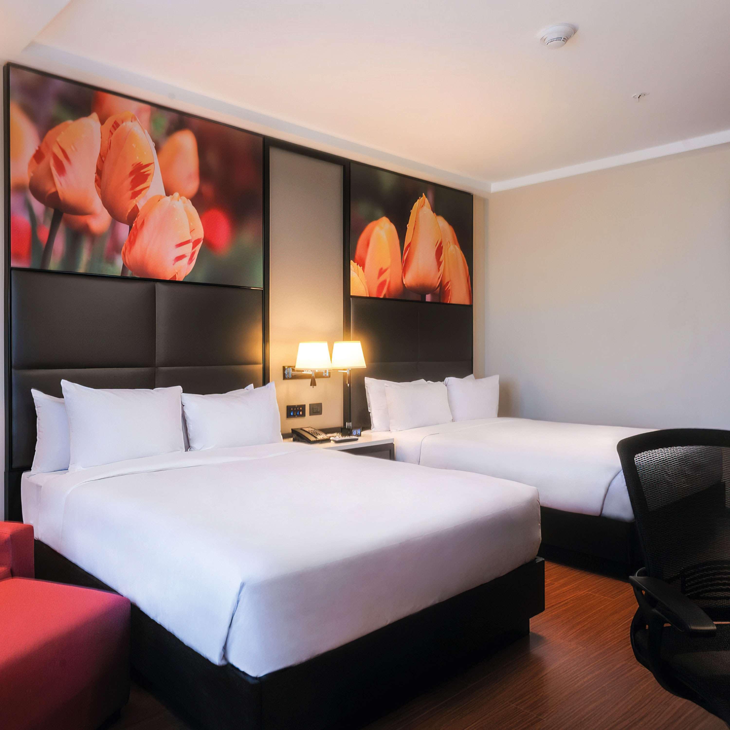 Double Two Queen Beds