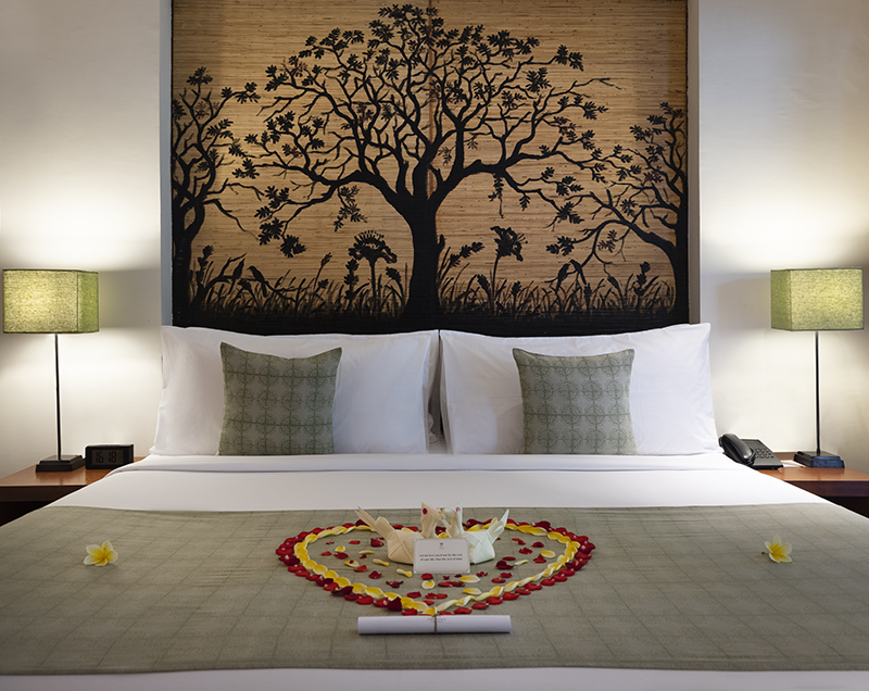 Double or Twin Premier