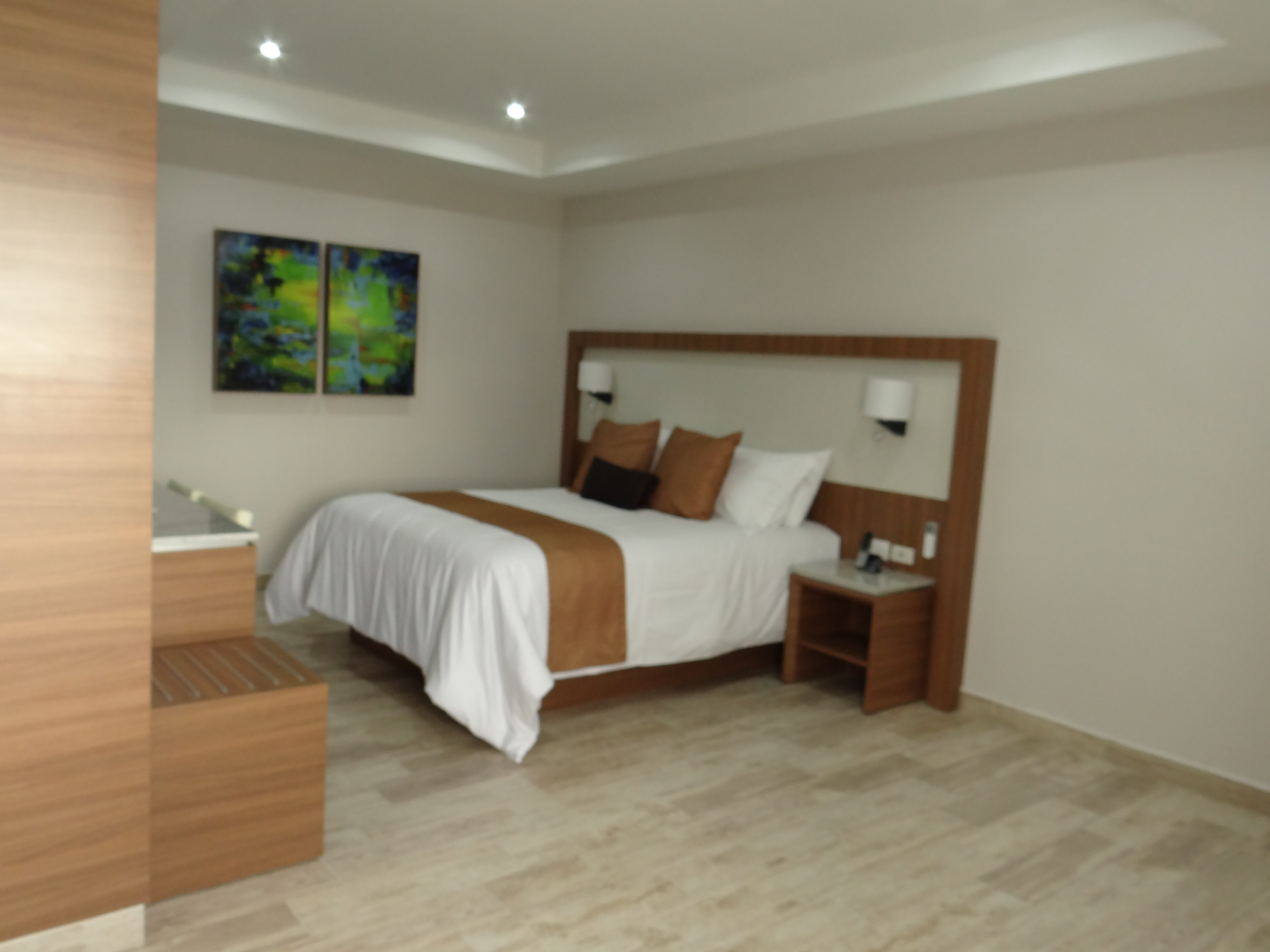 Junior Suite Queen Size Bed