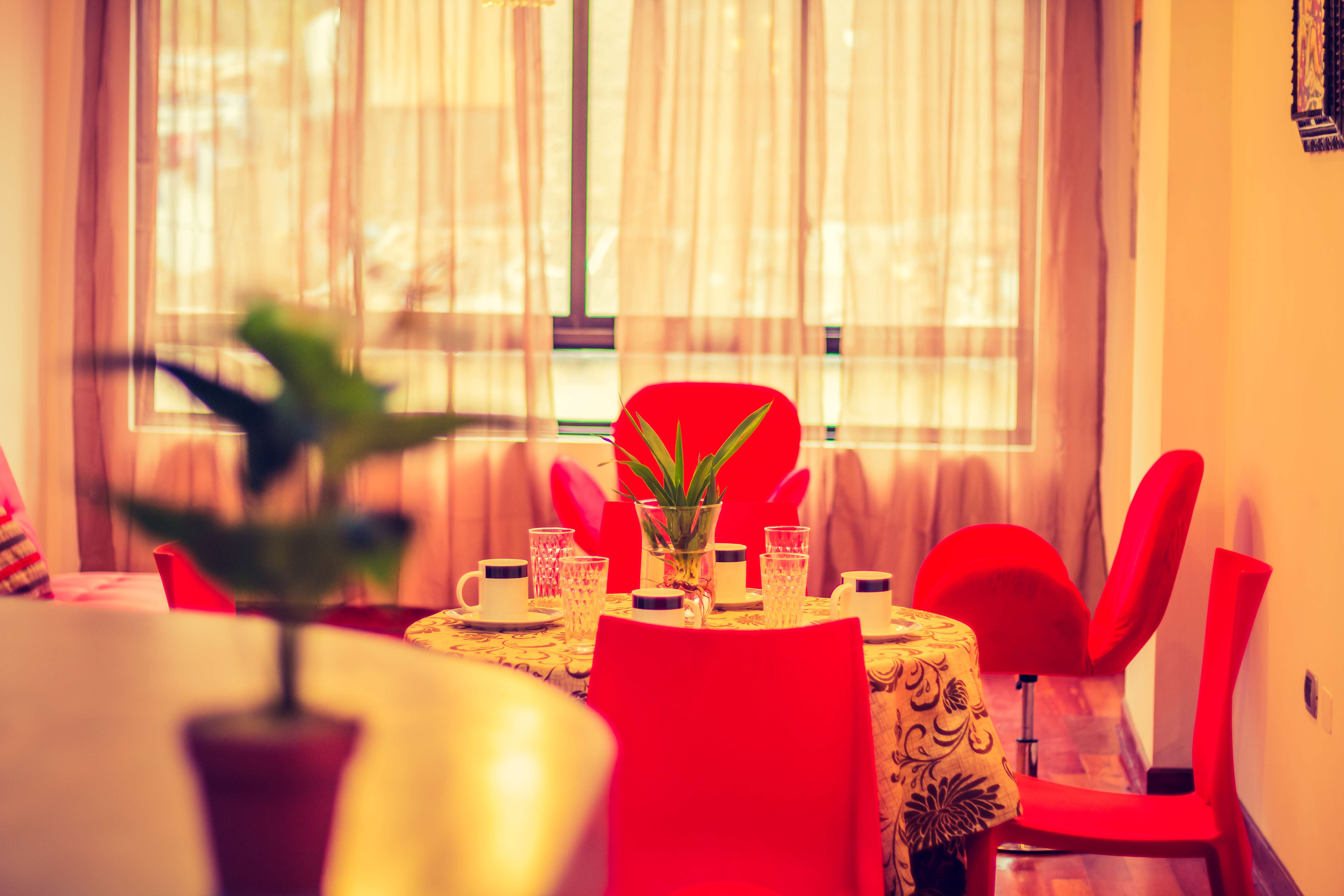 Apartment One Bedroom