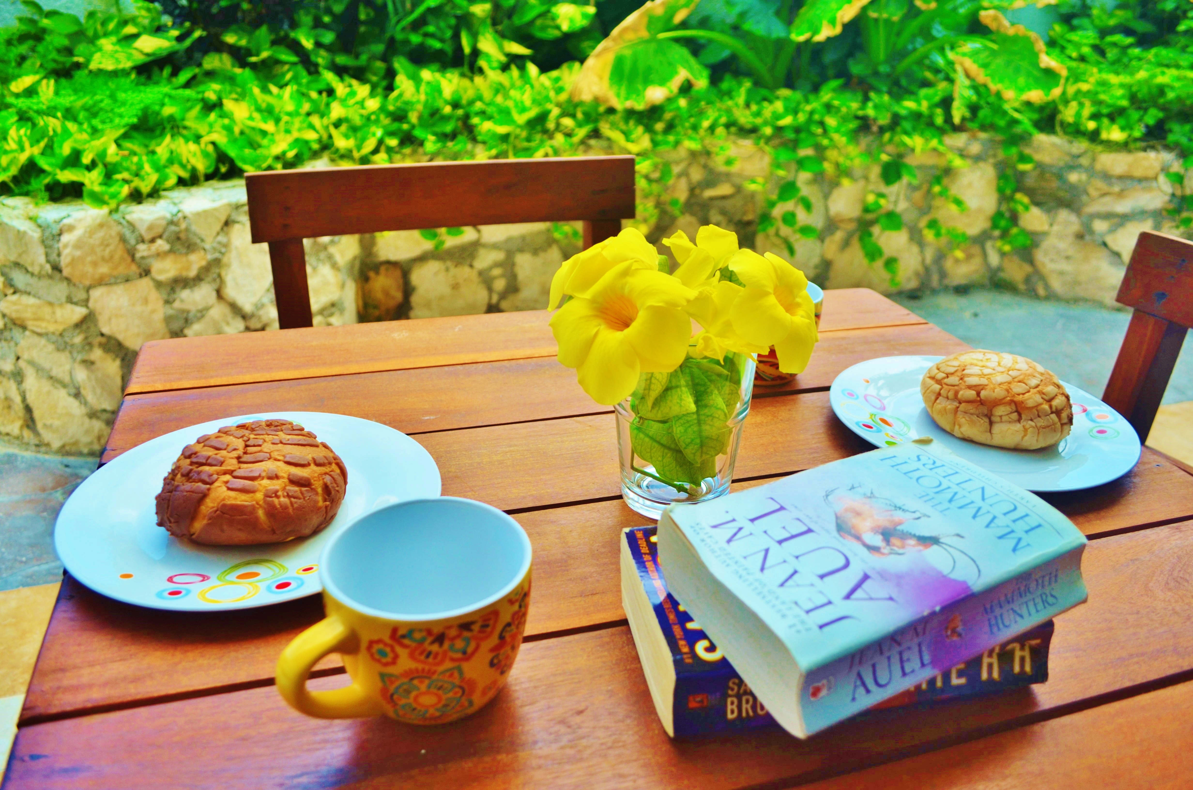 Family Room Garden View