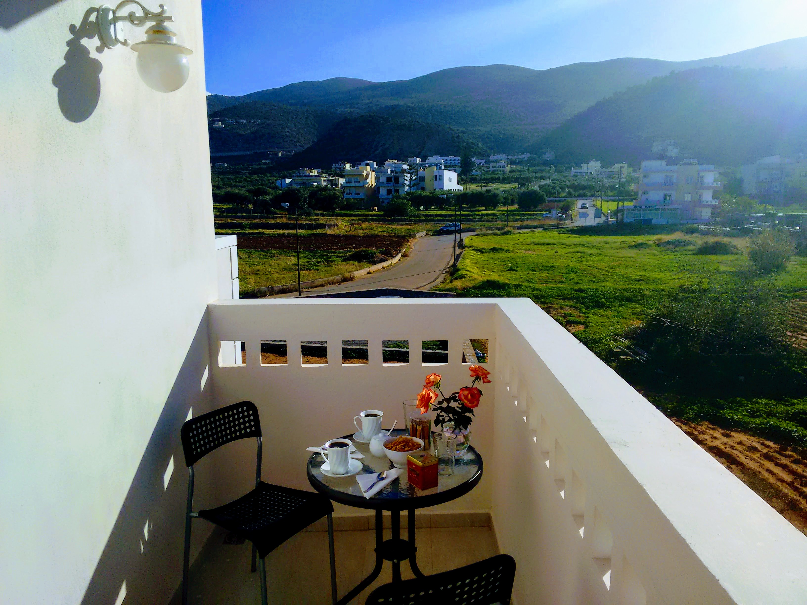 Apartment Garden View