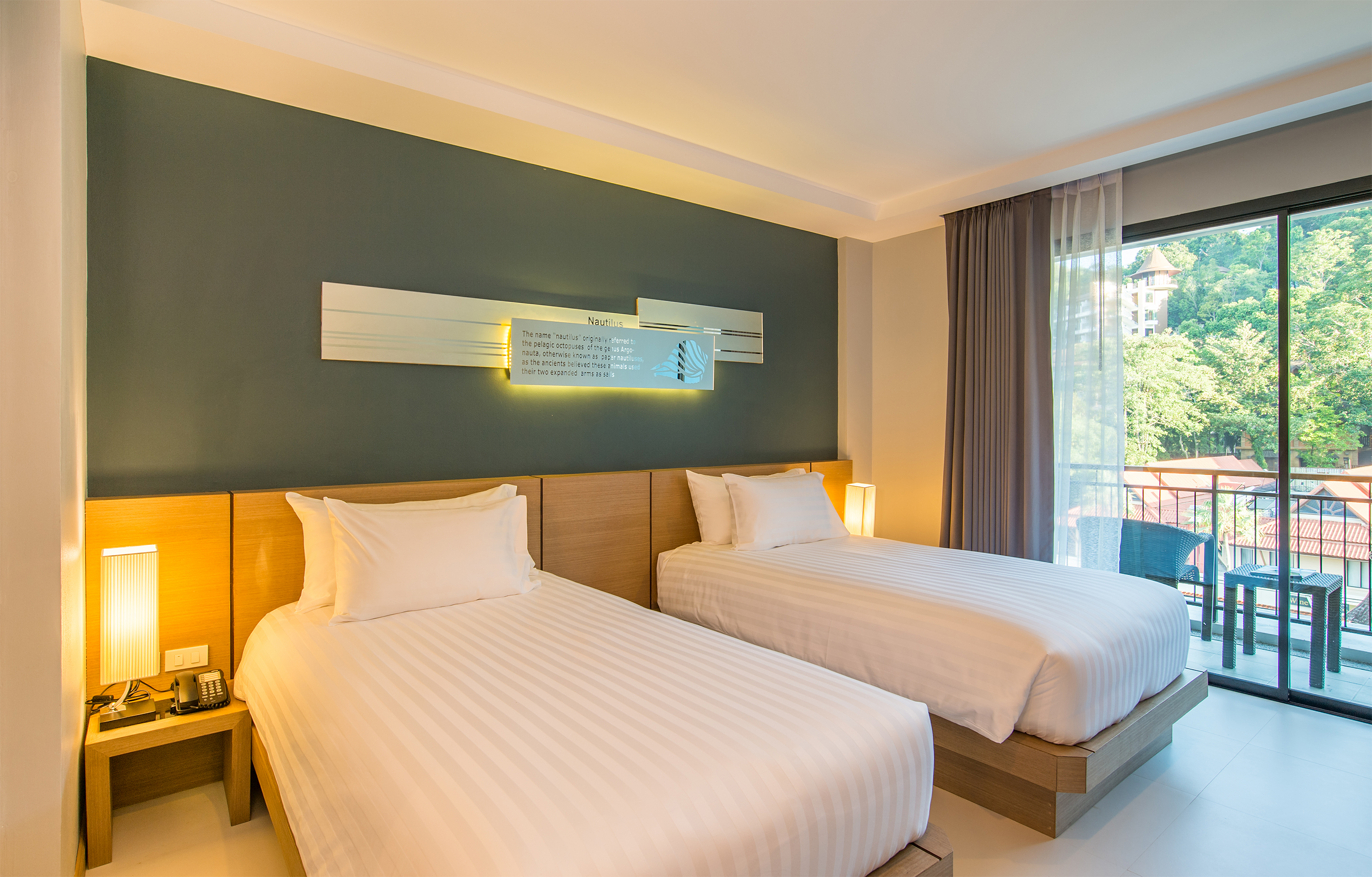 Double or Twin Superior