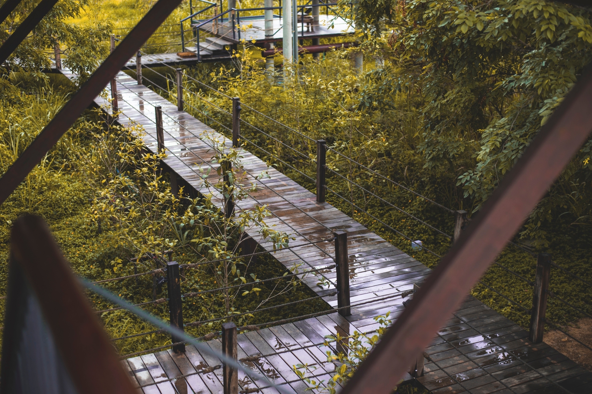 Family Room Deluxe Two Beds