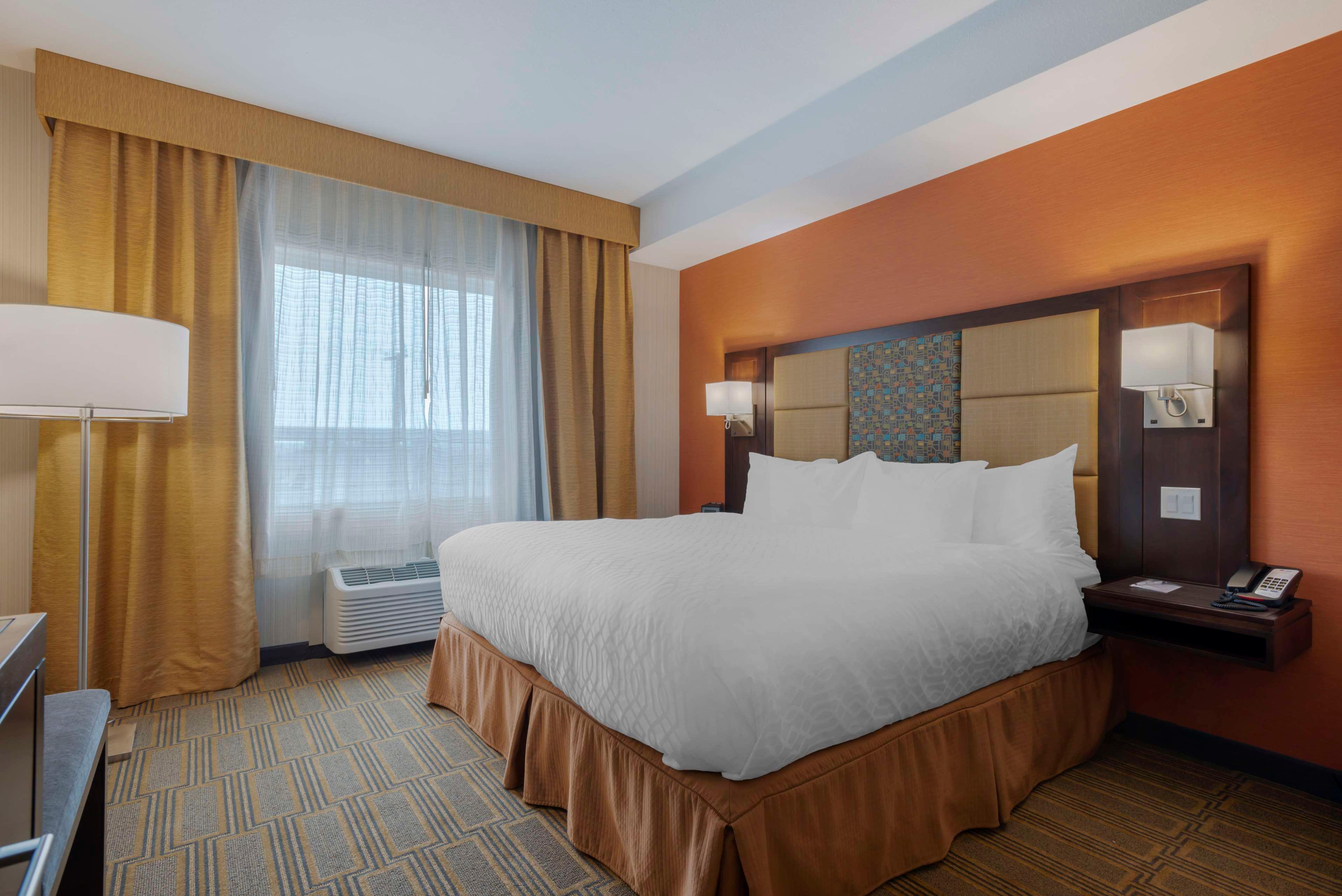 Double King Bed Non Smoking