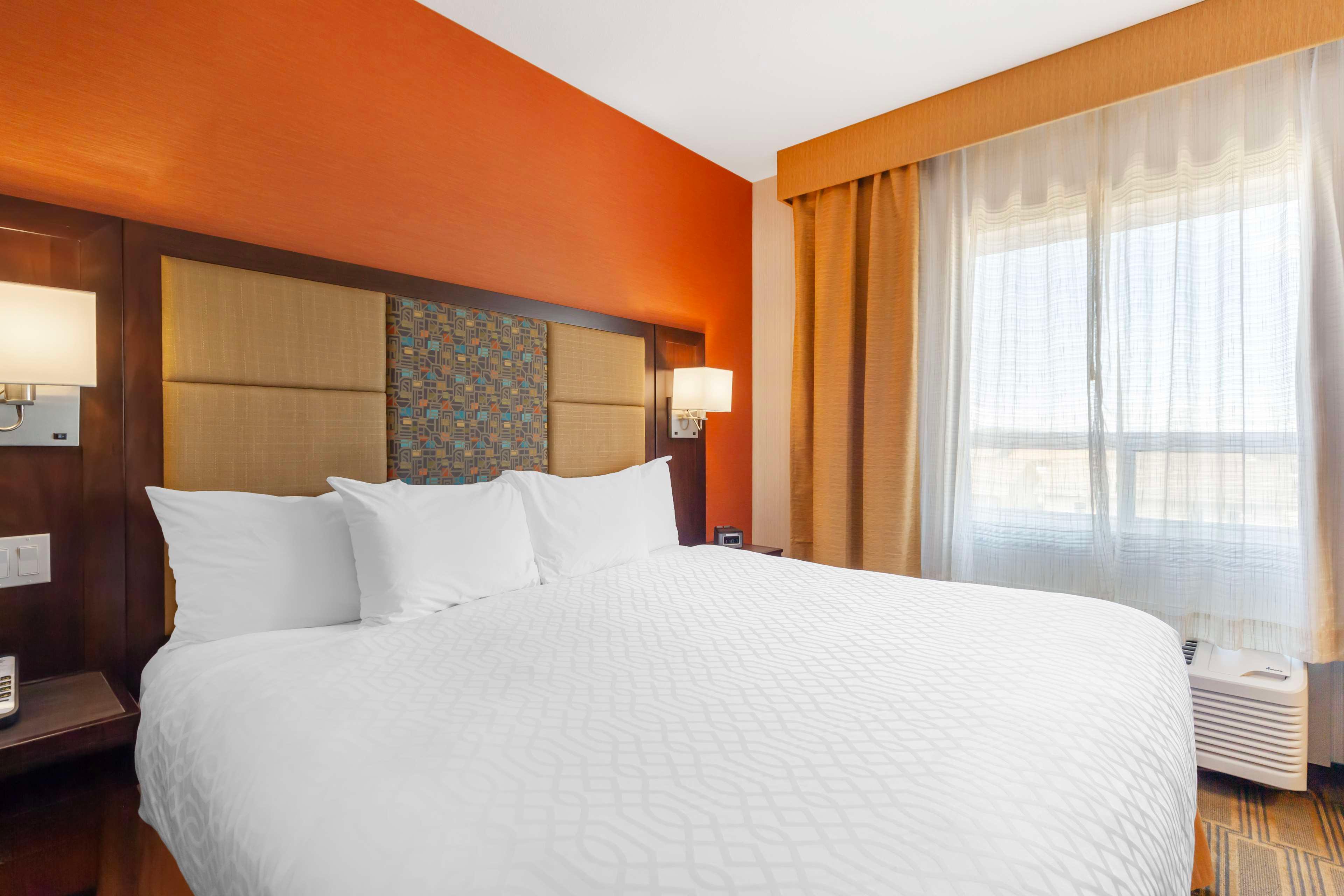 Quadruple King Size Bed