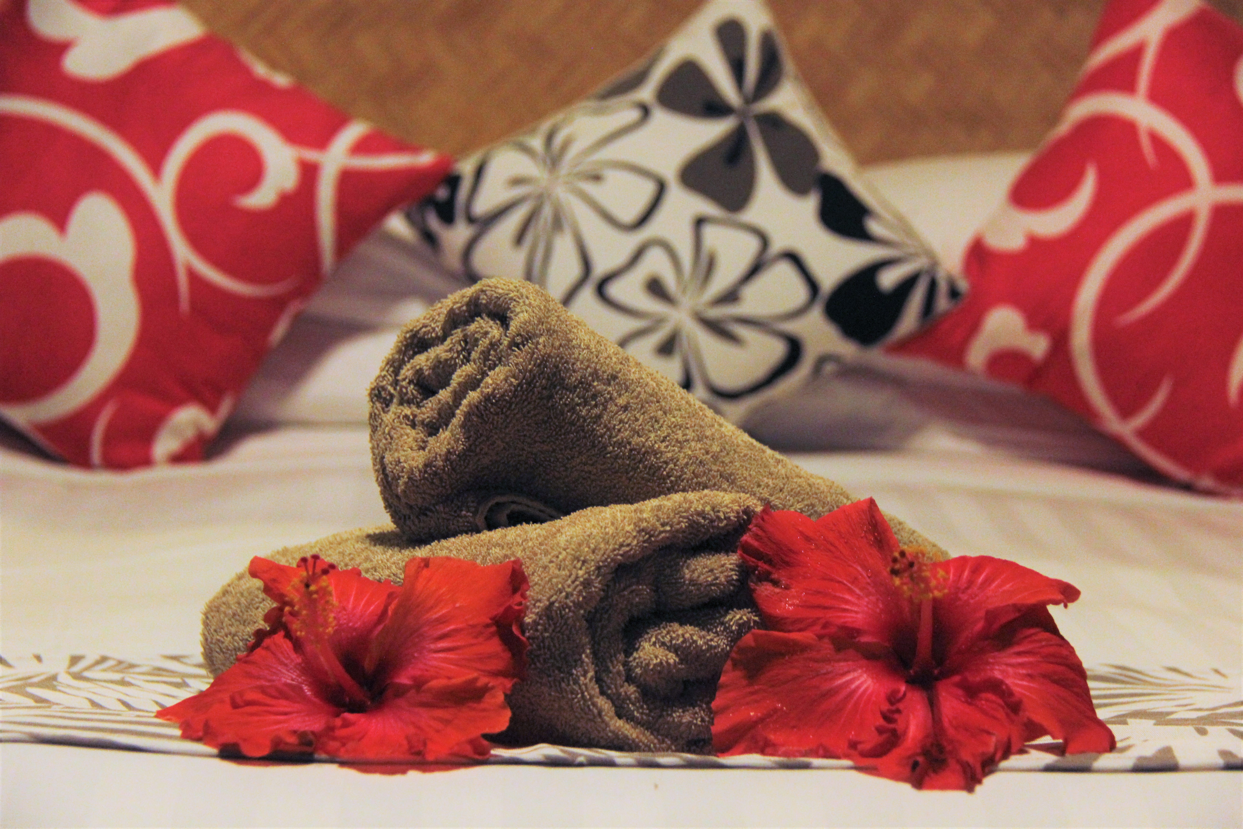 Apartment Beach Front