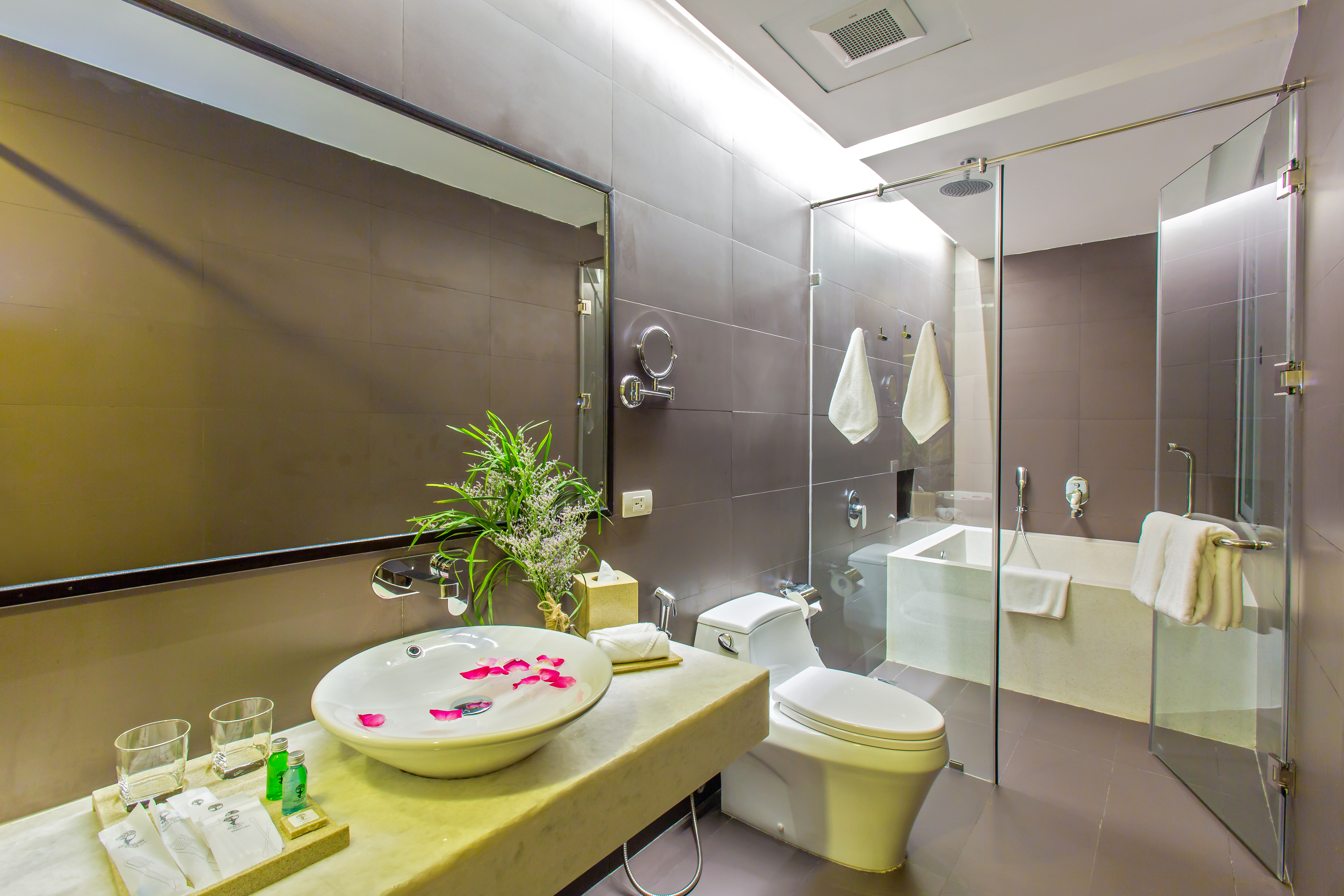 Twin Deluxe City View