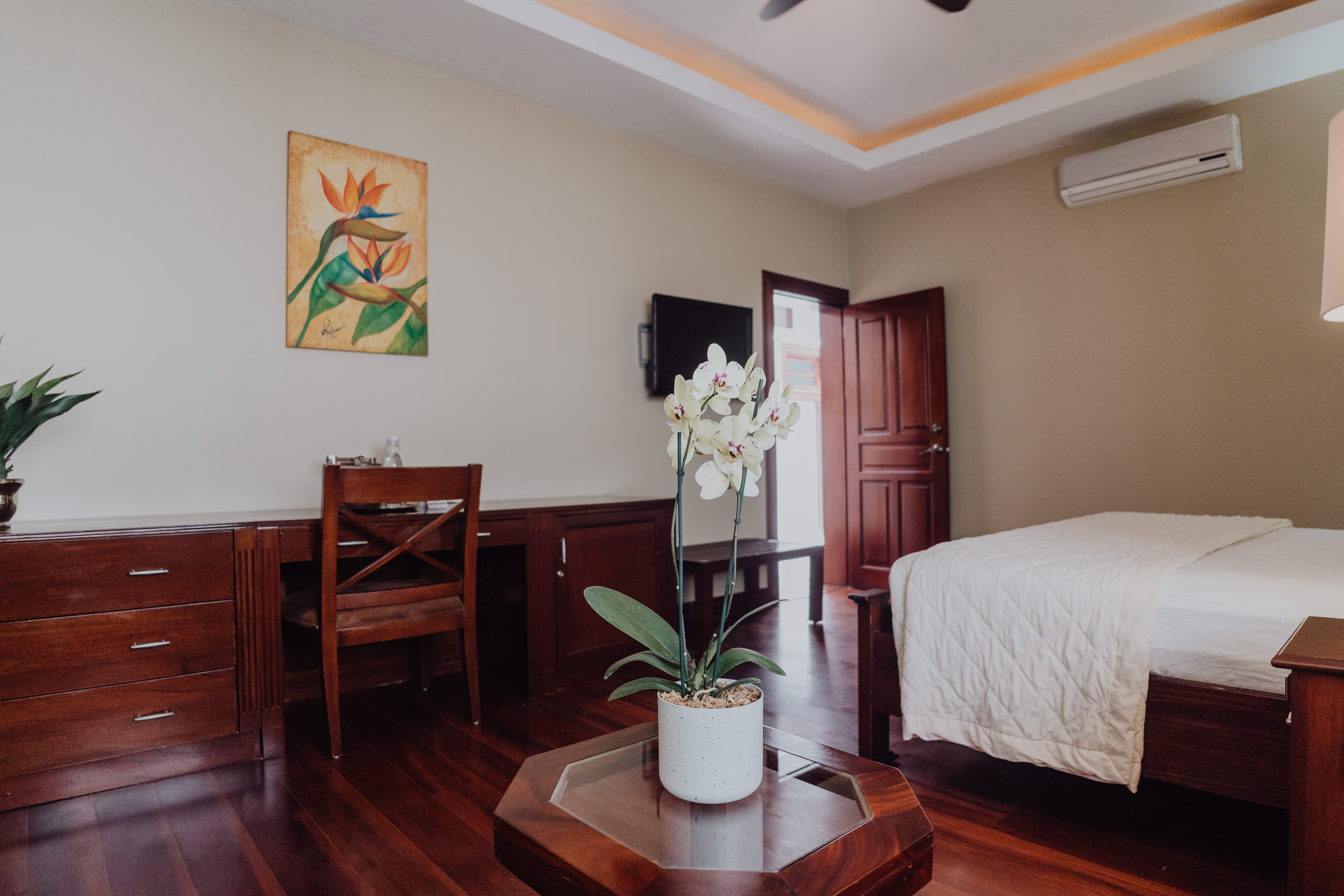 Junior Suite One Bed