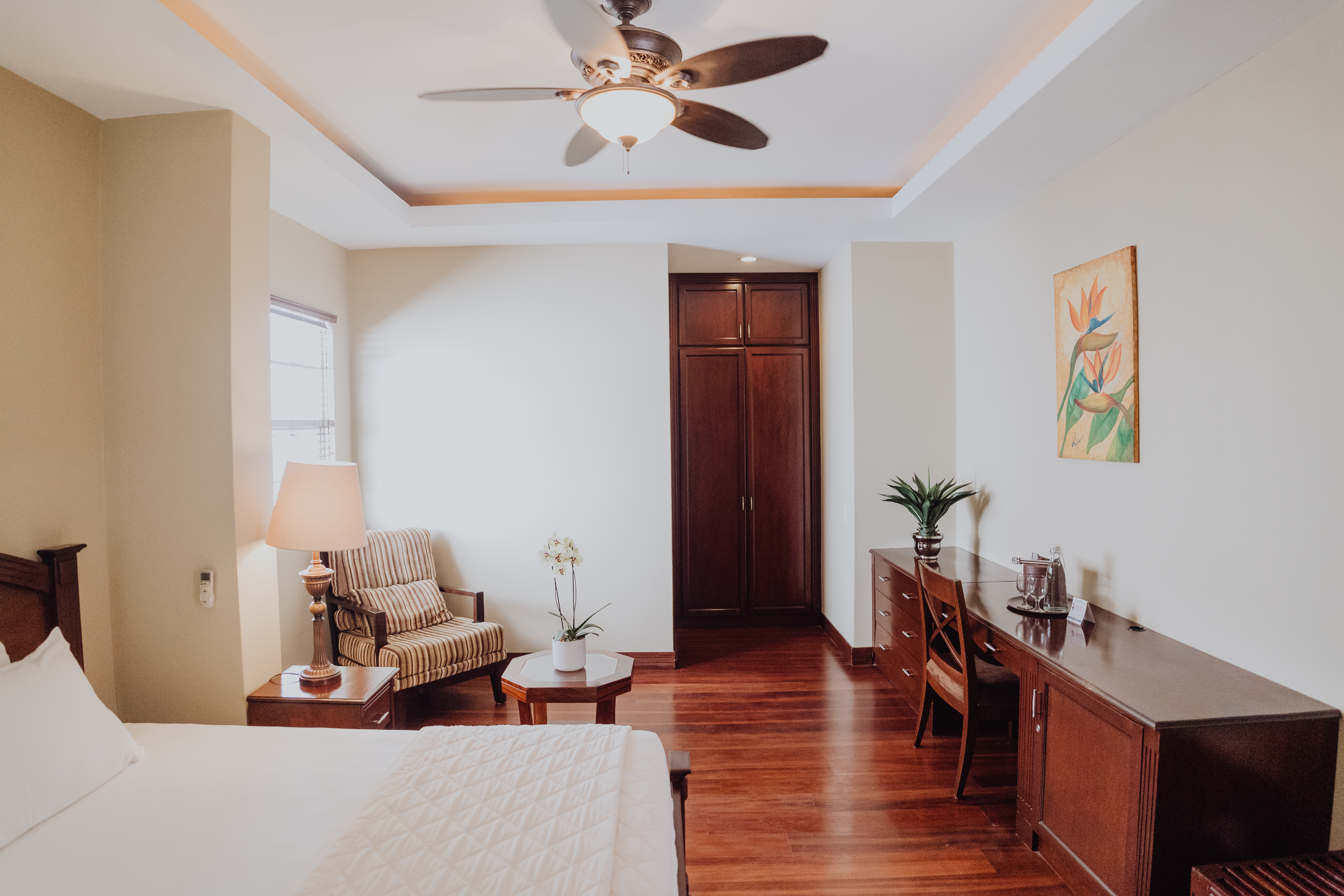 Junior Suite One Bed