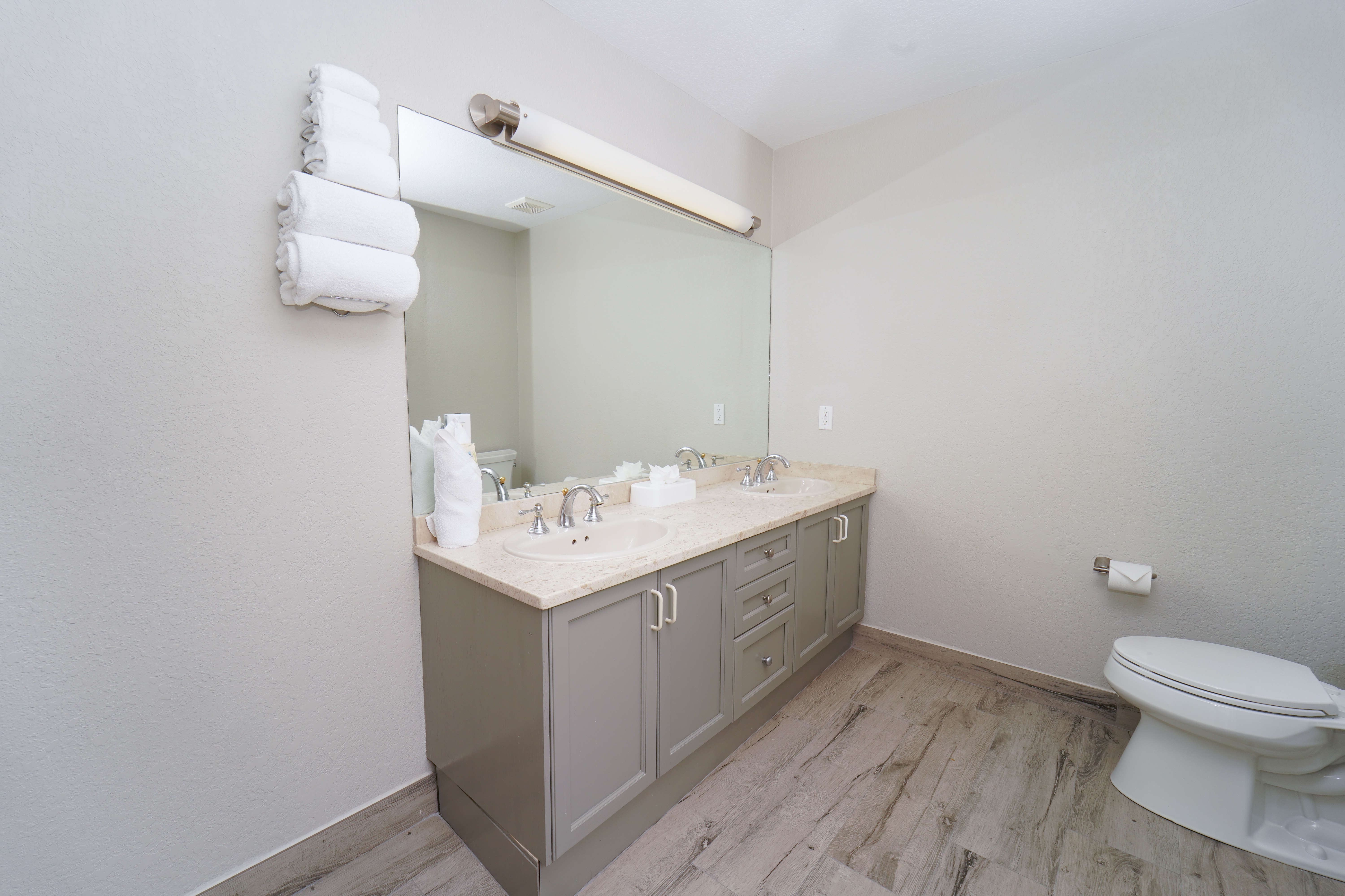 Suite King Bed One Bedroom 