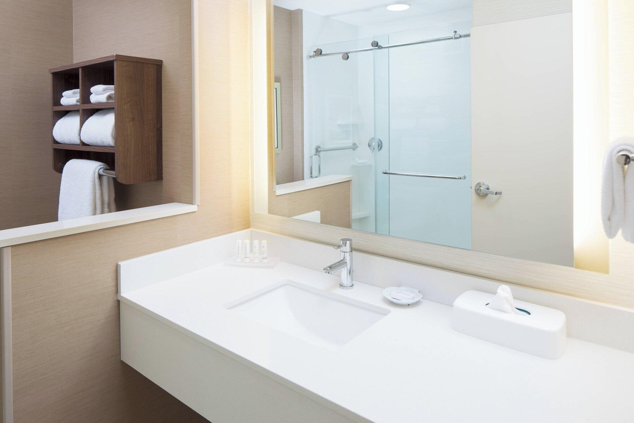 Suite King Bed One Bedroom 