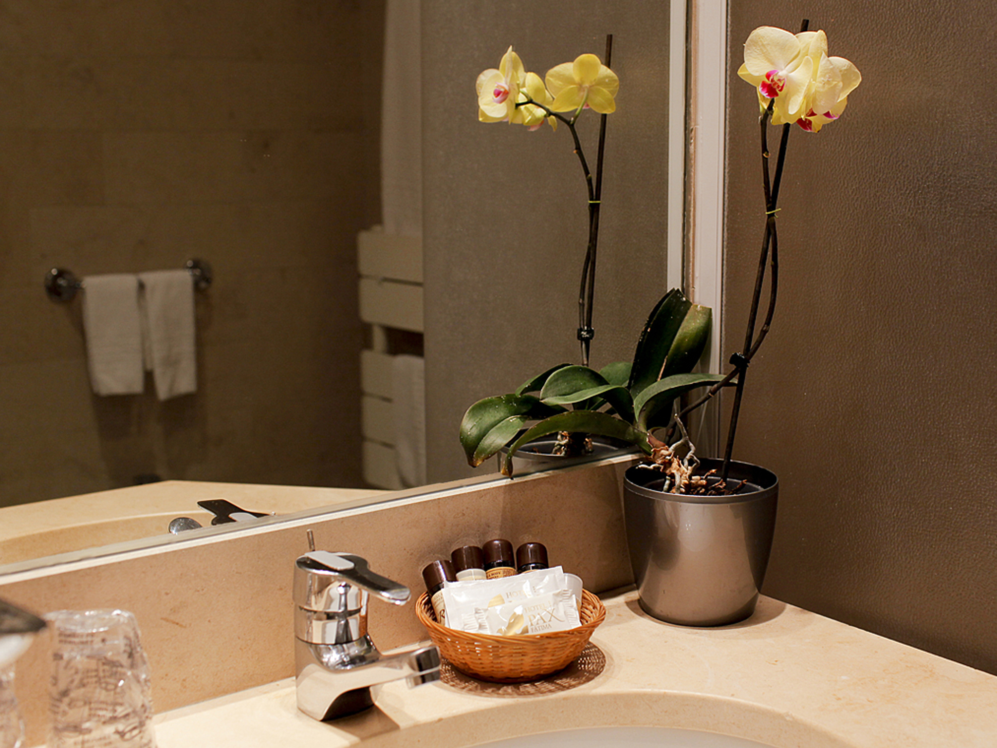 Family Room Standard